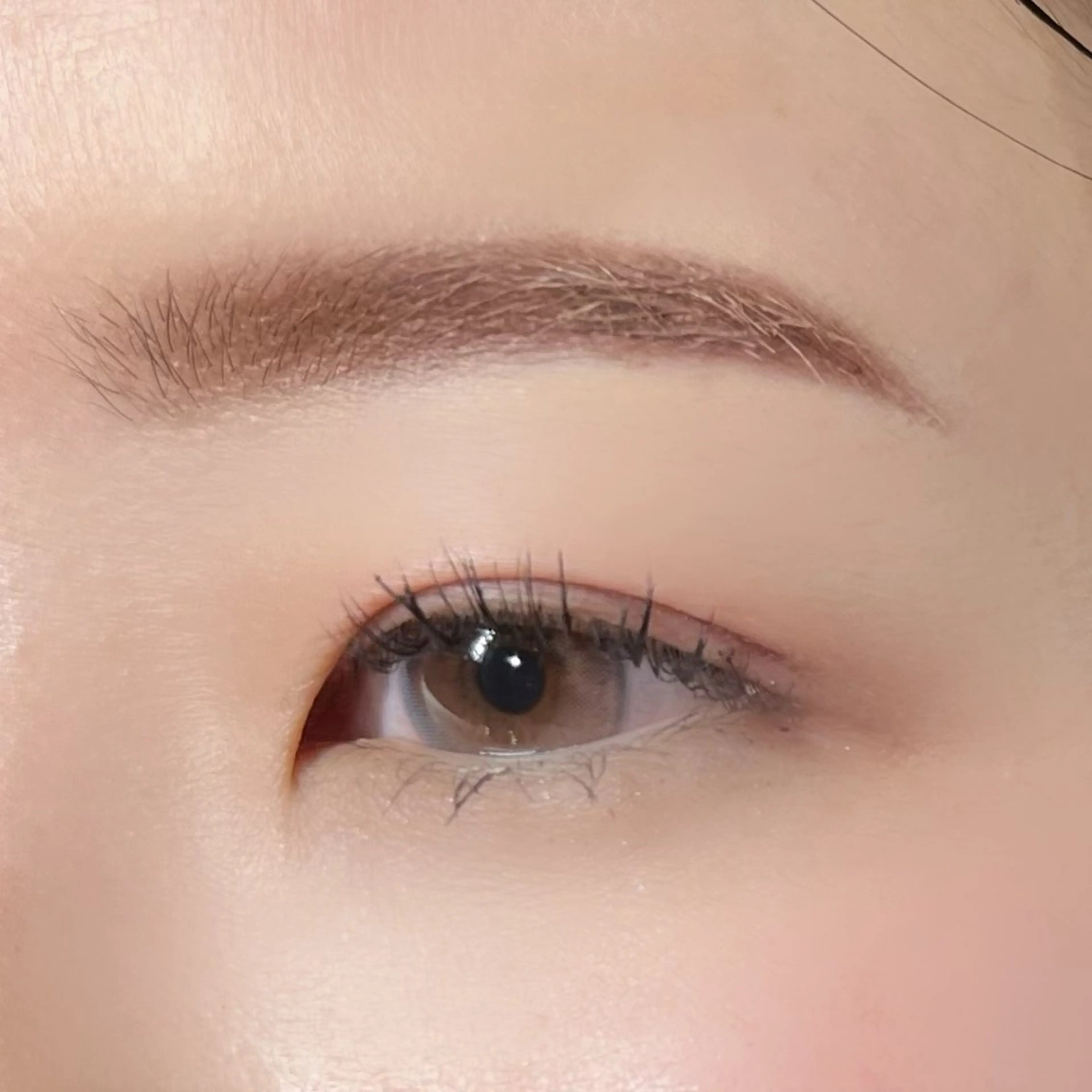 アイブロウ 眉カラー 🩵HARUHI 京都Two🩵の眉毛・アイブロウイメージ