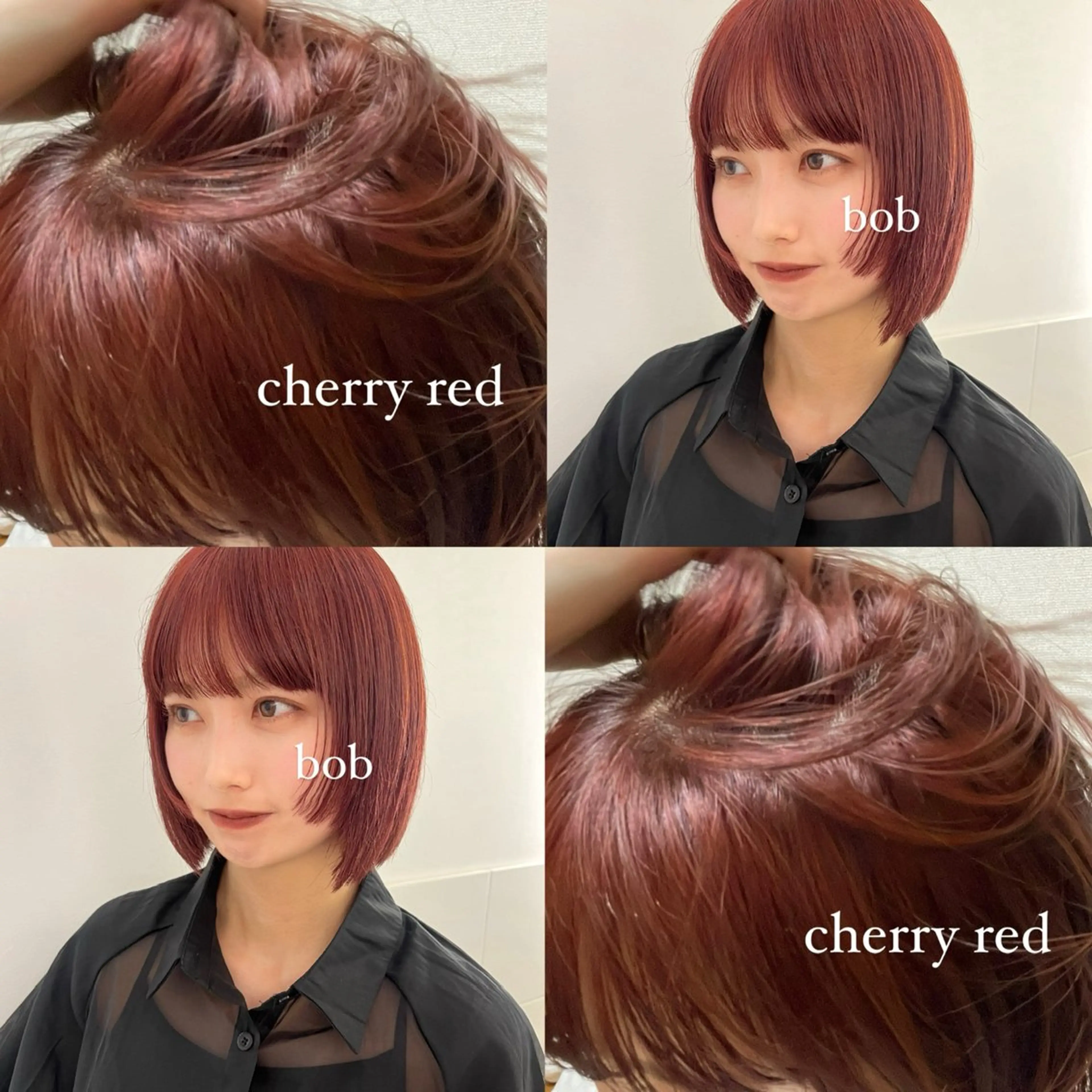 ショート カラー ブリーチ ダブルカラー ブリーチなしカラー レッドカラー 顔まわり🥨レイヤー /透明感/水口舞奈のヘアスタイル