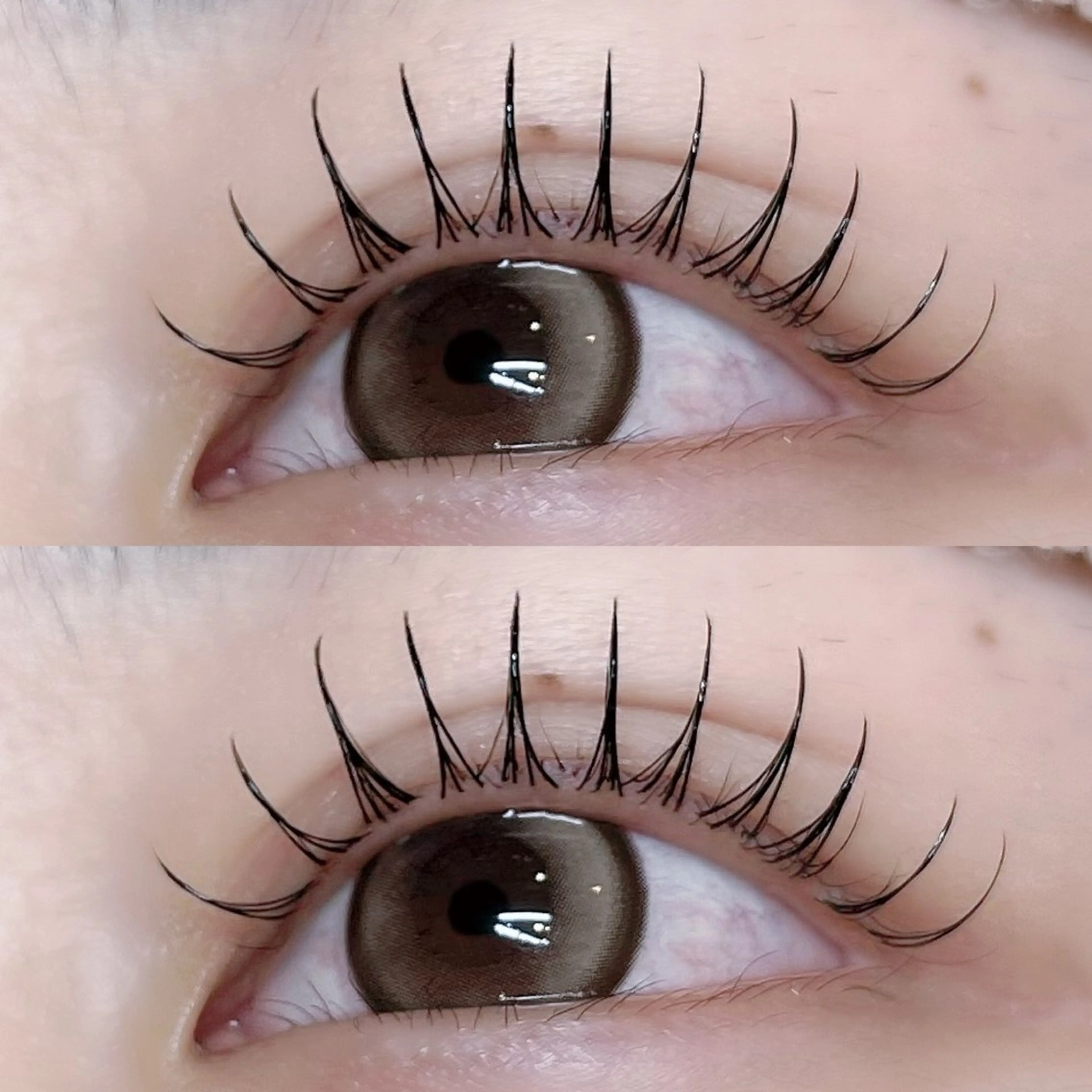 マツエク・マツパ マツパ Pupu lash  𓃱𓂃のその他イメージ