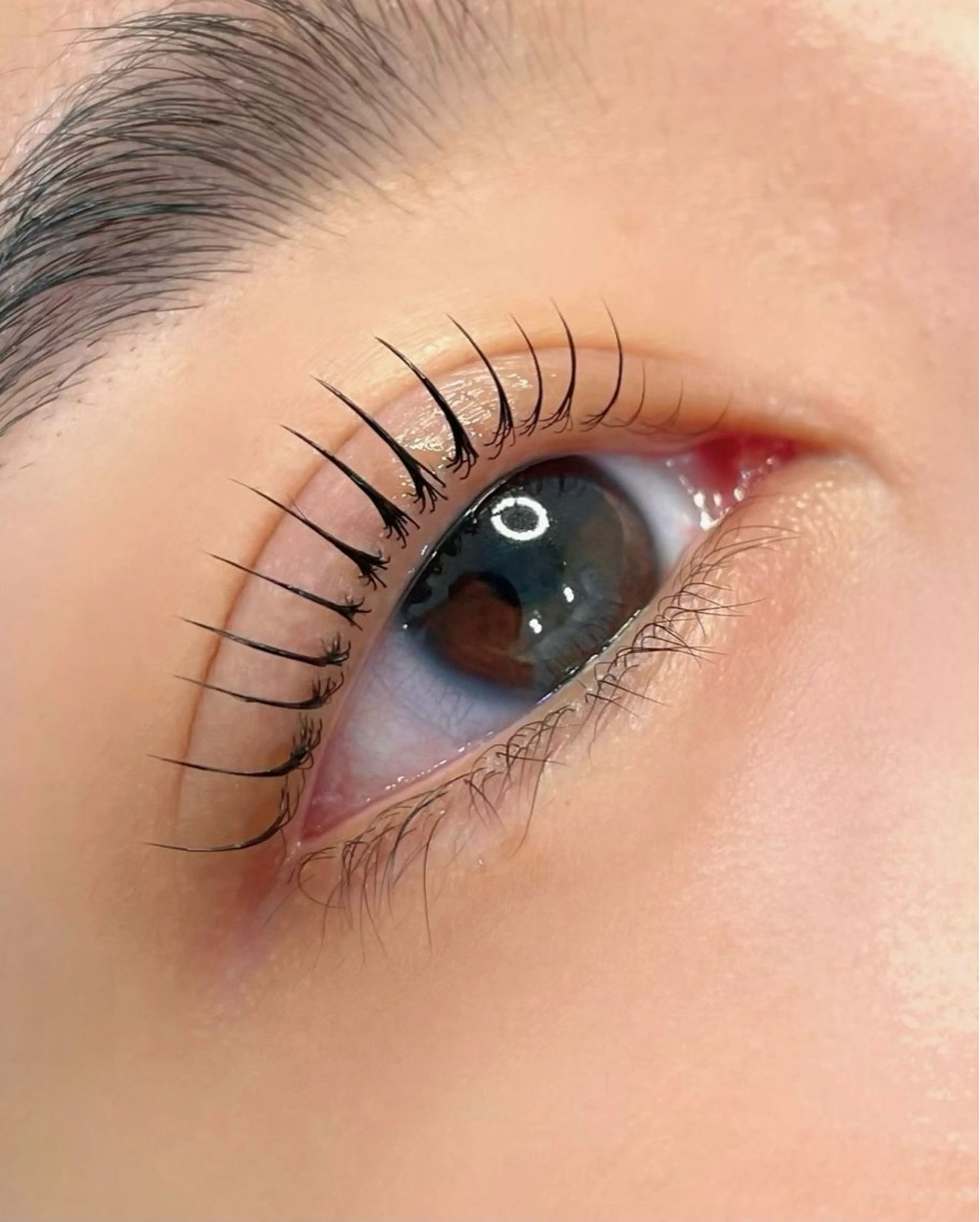 ２6日限定【¥4900→¥2900】⭐️まつげパーマ⭐️の写真