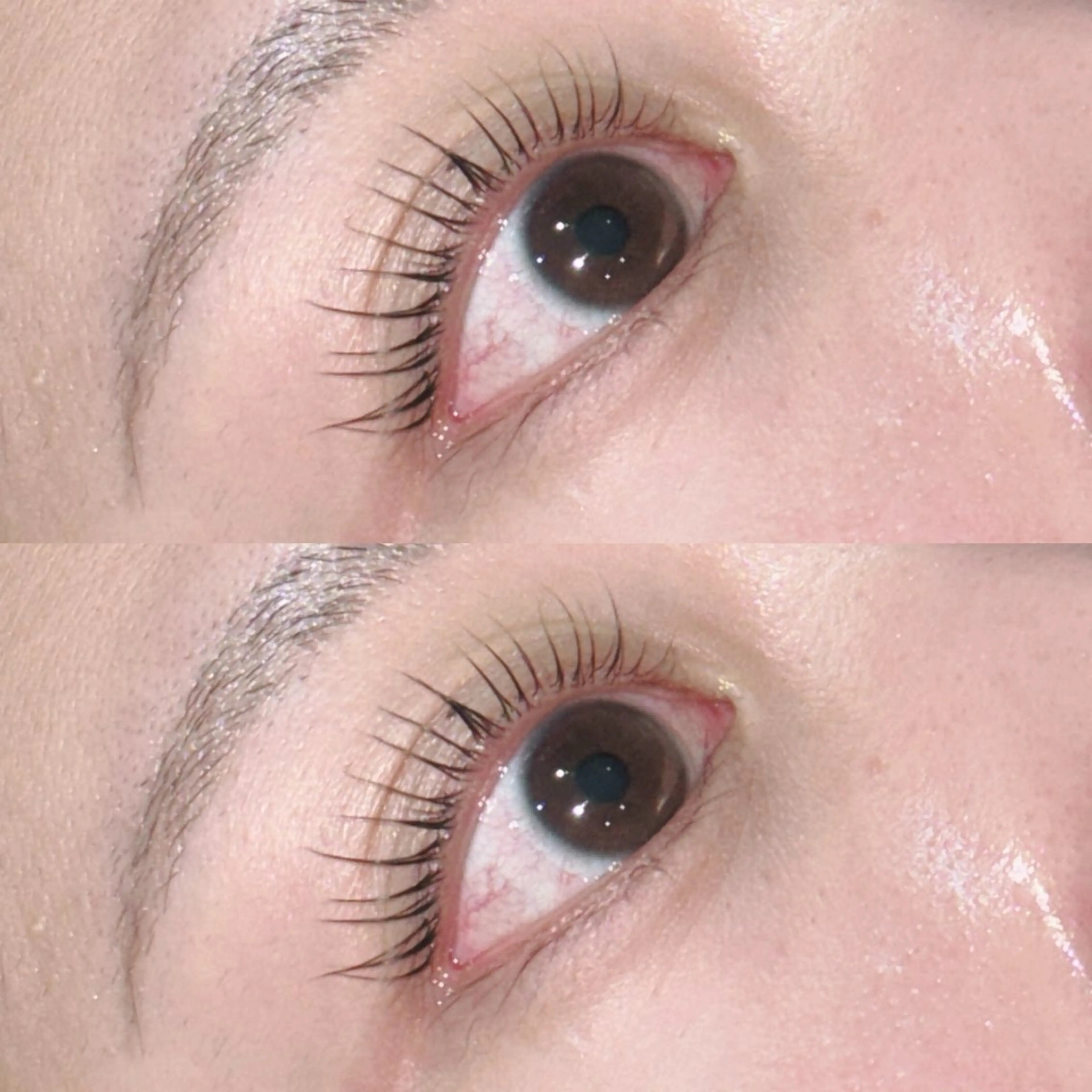 マツエク・マツパ パリジェンヌラッシュリフト マツパ August 大野のエステ・リラクイメージ