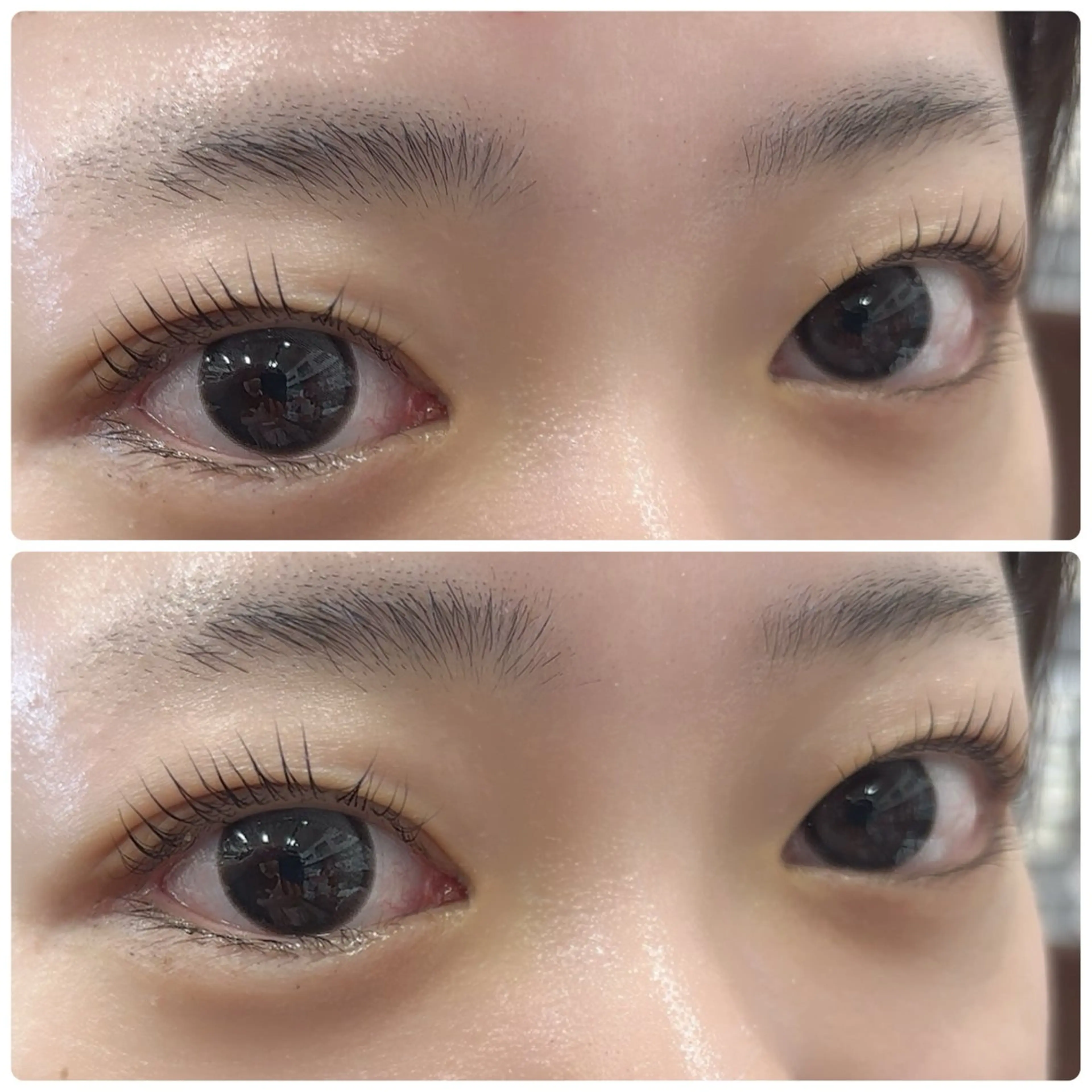 【🍒平日限定🍒】まつ毛パーマ上下の写真