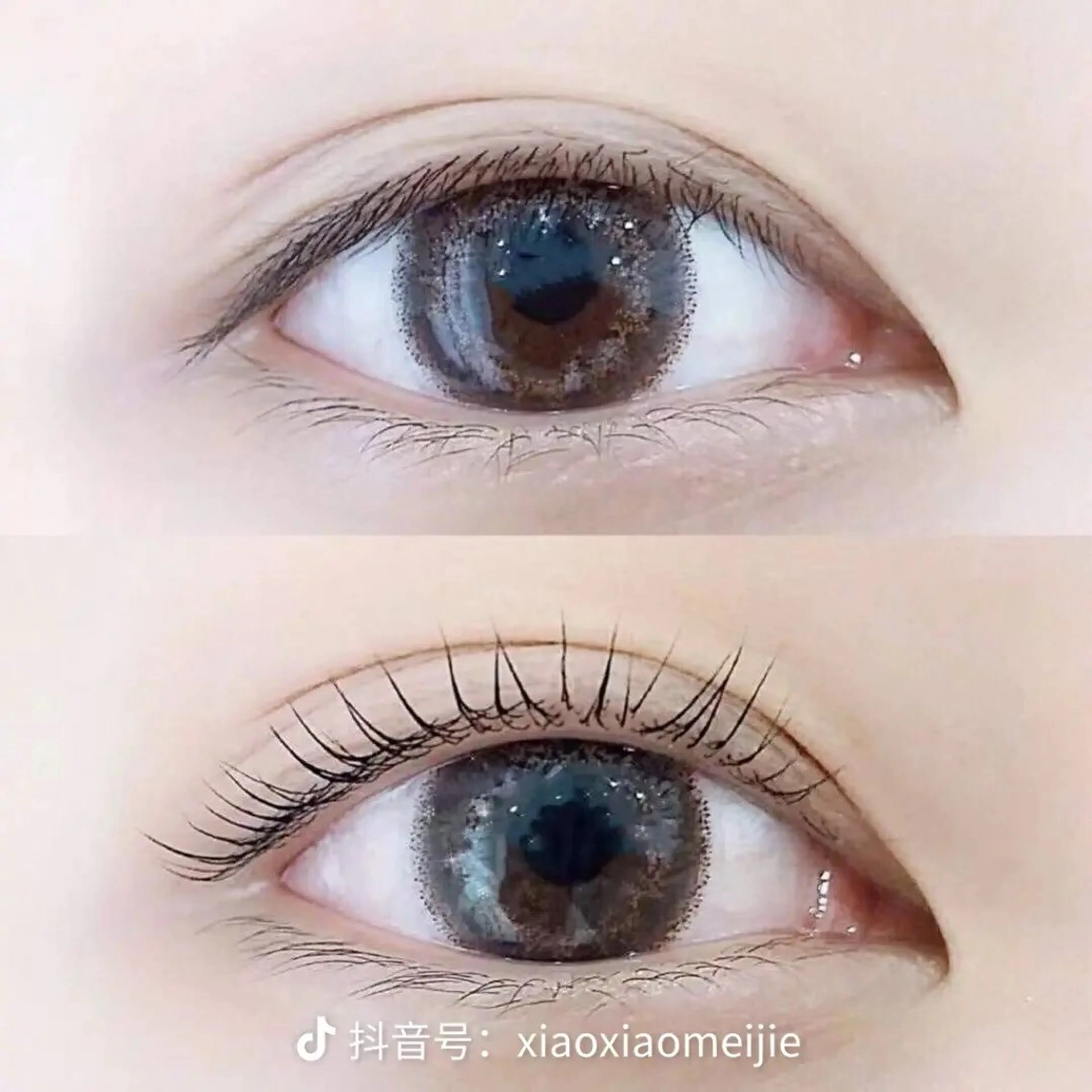 パリジェンヌラッシュリフト（コーティング仕上げ）の写真