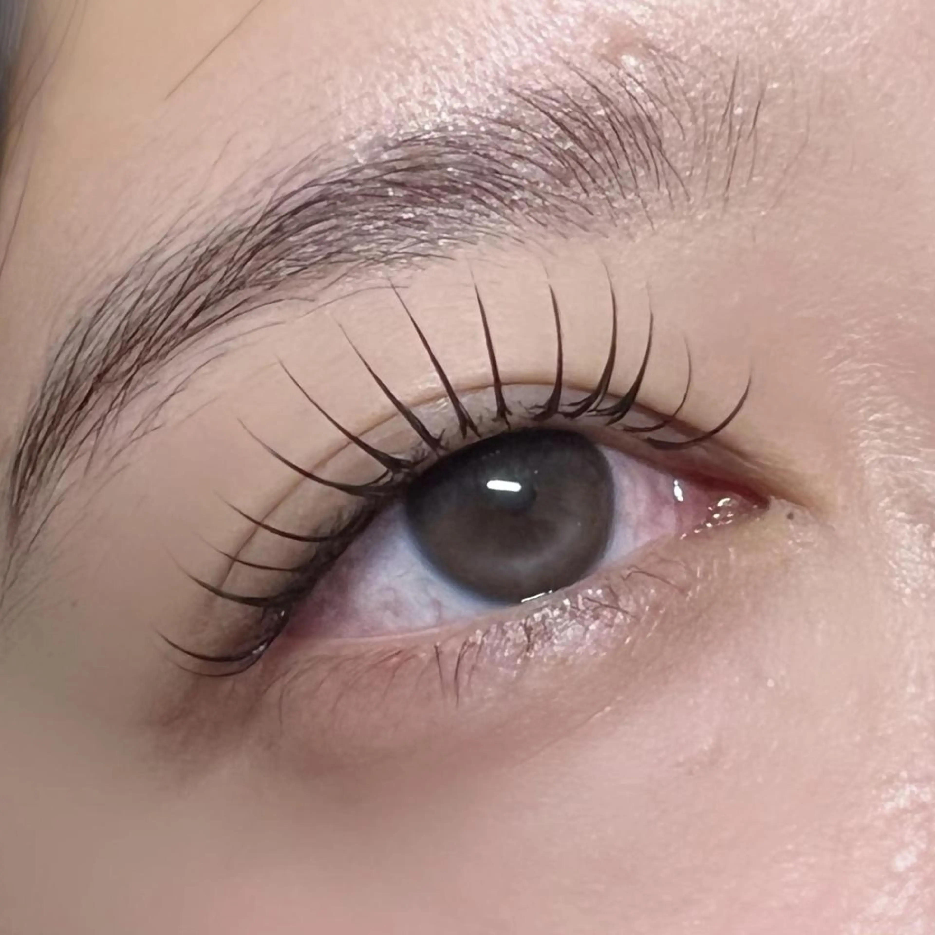 15.16日限定!! ⭐️ラッシュリフト（ まつげパーマ）束感コーティング付※補足説明必ずお読みください。の写真