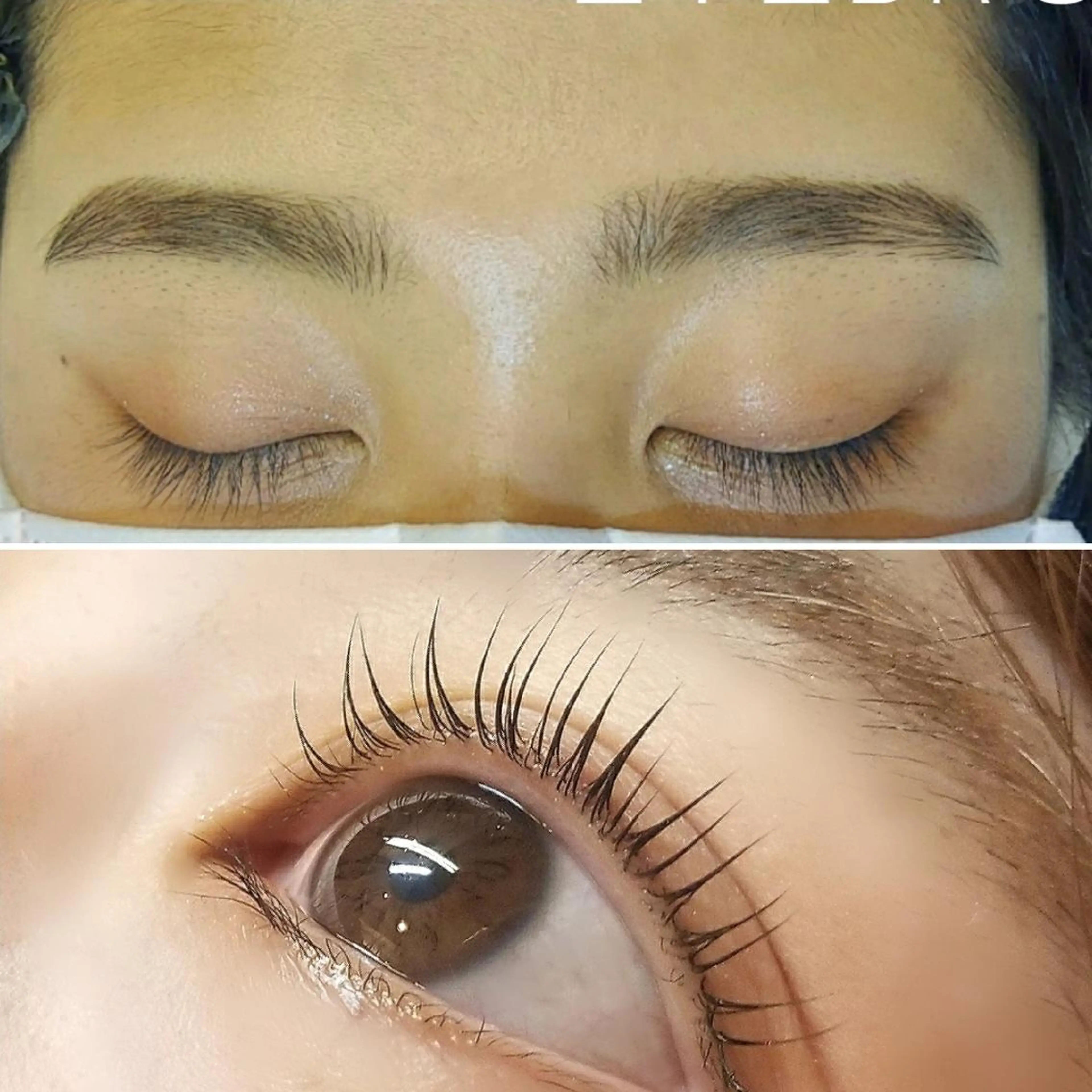 アイブロウ マツエク・マツパ Loar 大出のマツエク・マツパデザイン