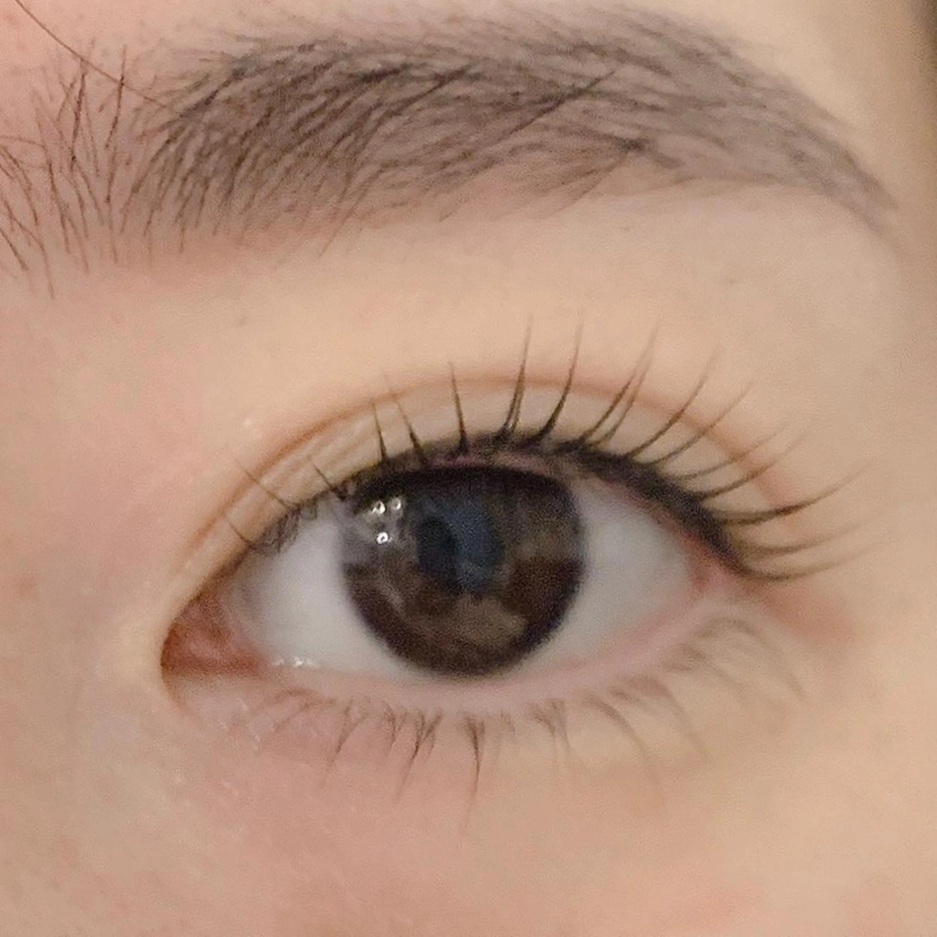 マツエク・マツパ ナチュラル Mi Lacca/眉 /まつ毛/よもぎ蒸しのエステ・リラクイメージ