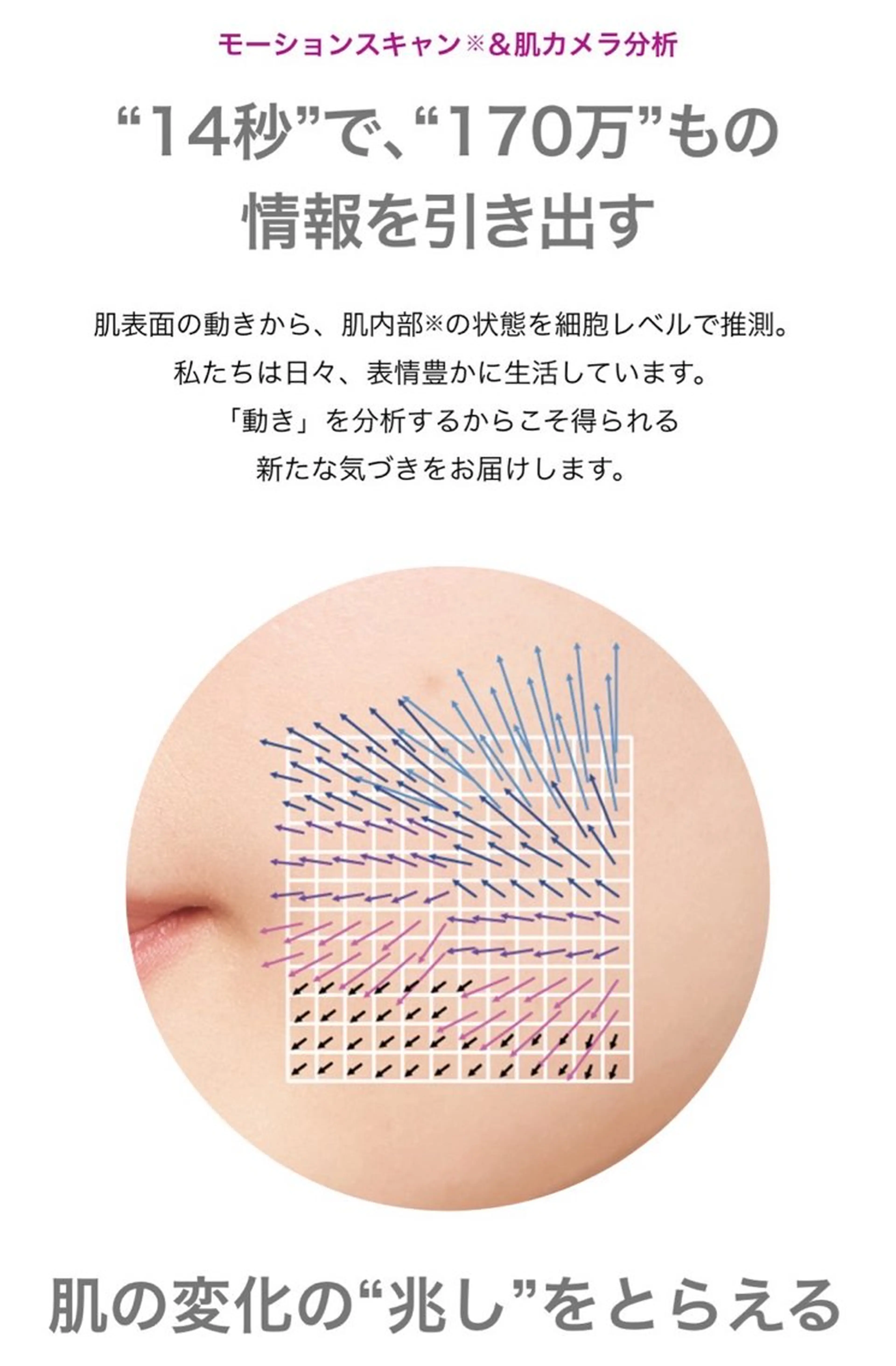 肌管理🌿毛穴改善 POLA堺東のエステ・リラクイメージ