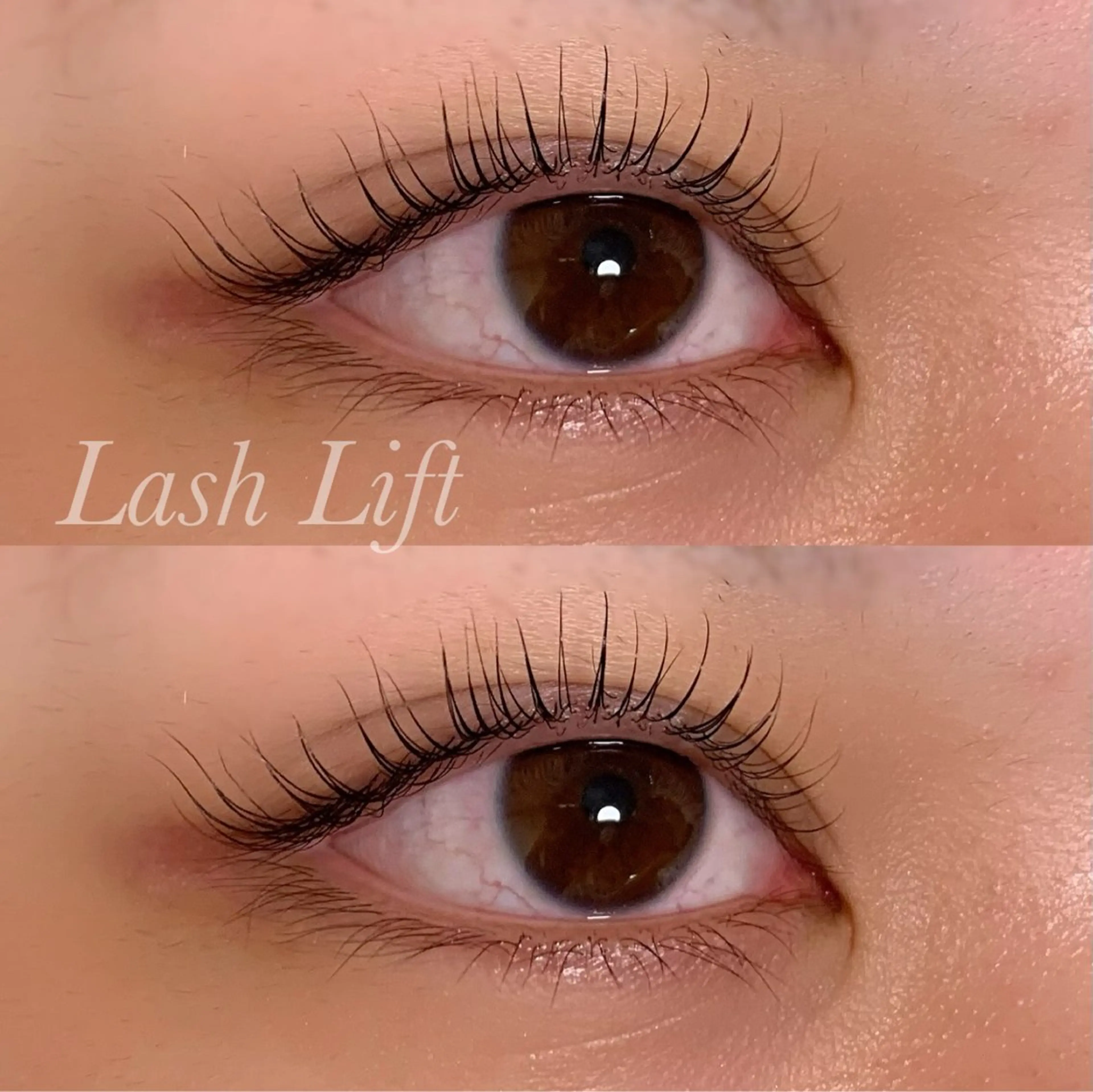 マツエク・マツパ まつげパーマ マツパ Ayumi.pro 🍆N《4階》のマツエク・マツパデザイン