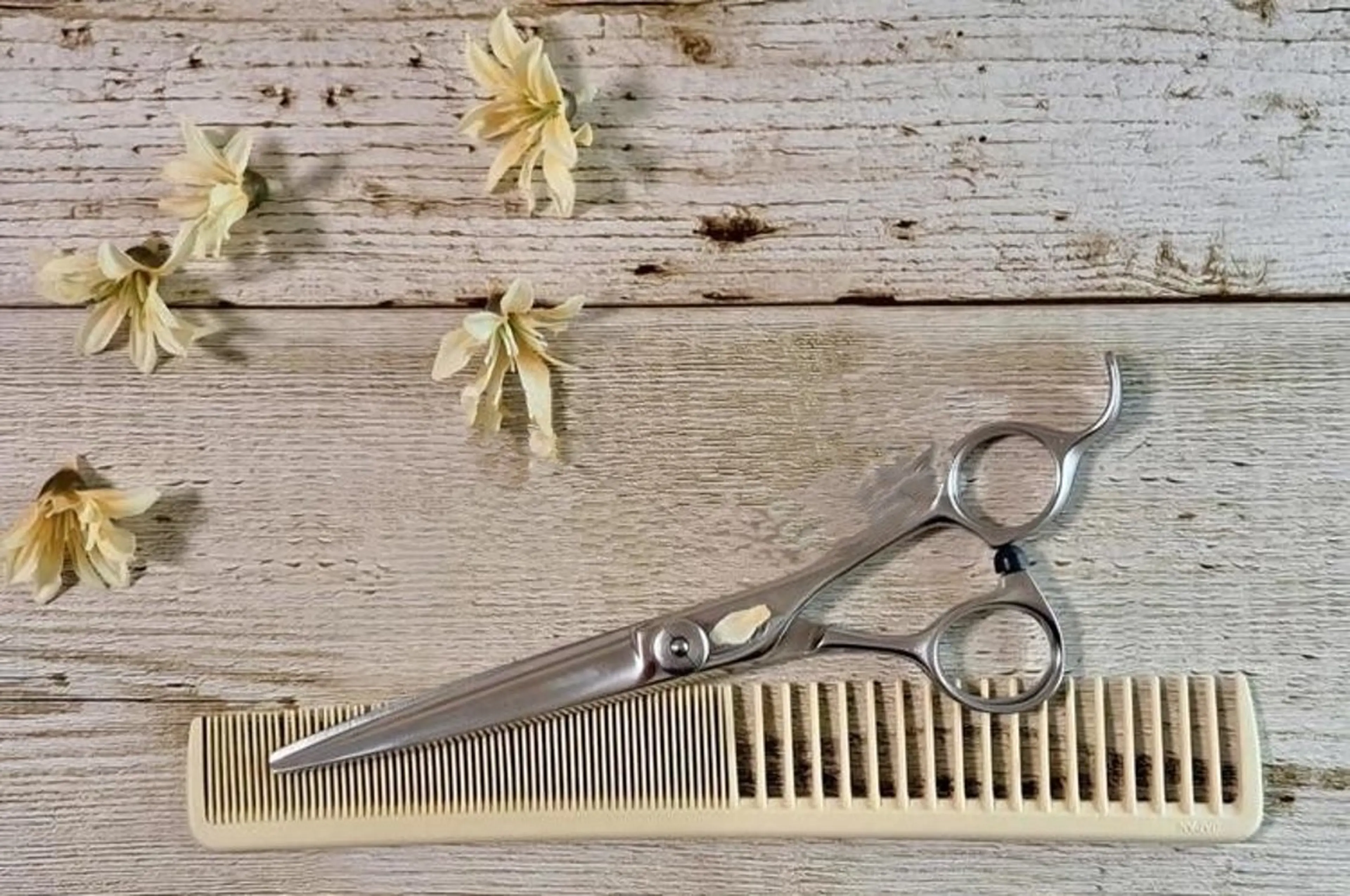 レディースカット✂️の写真