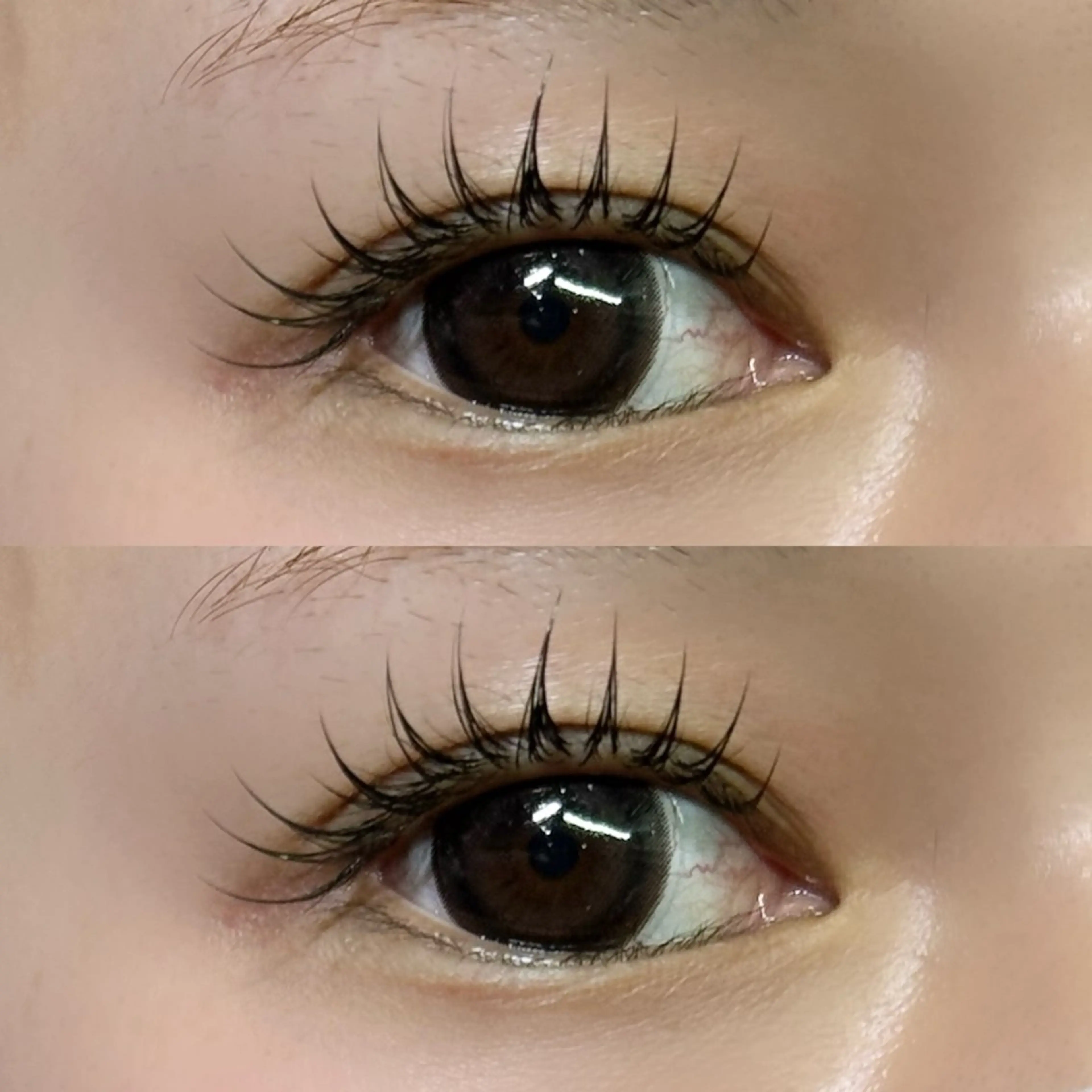 マツエク・マツパ 束感まつ毛 フラットラッシュ アップワードラッシュ scarlet asahiのマツエク・マツパデザイン