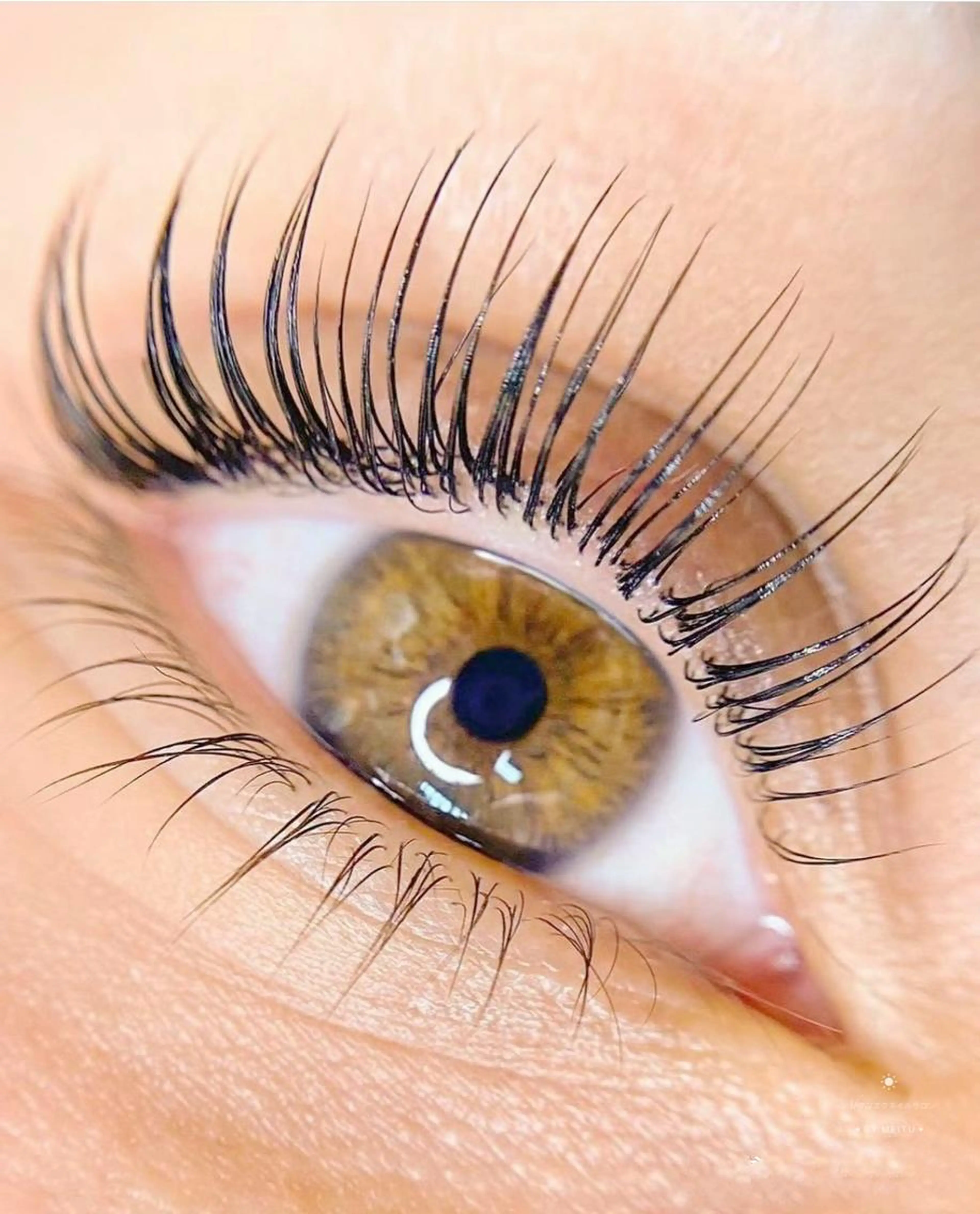 パリジェンヌ・ラッシュリフトカール・ラッシュカール【上下セット】￥6980の写真