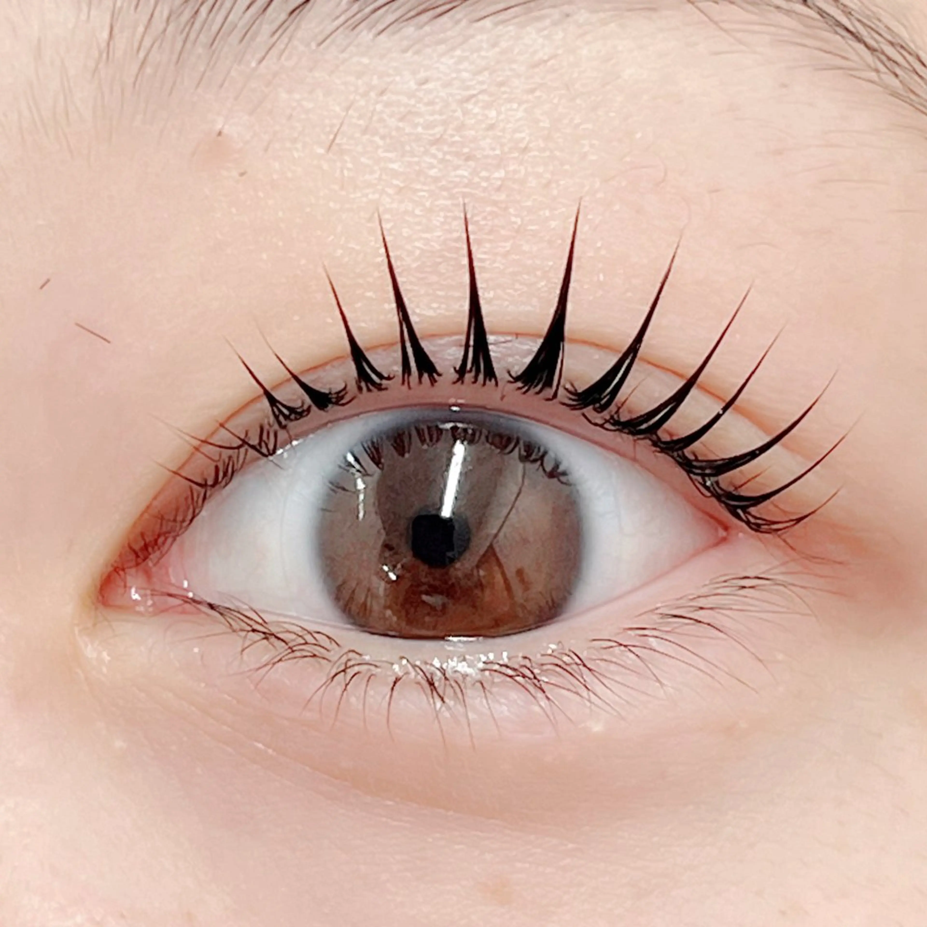 マツエク・マツパ マツパ 田村 莉子のマツエク・マツパデザイン