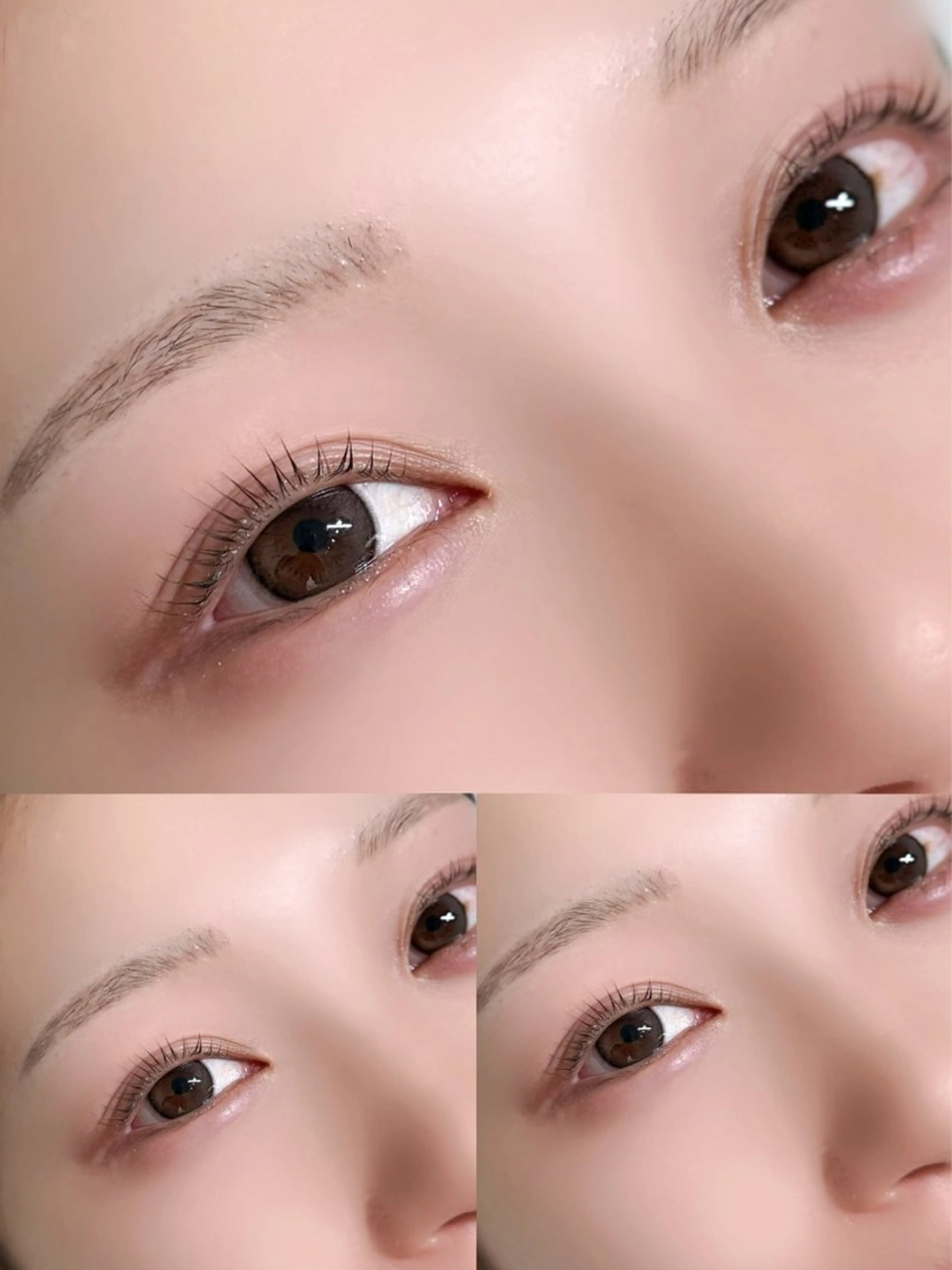 【上のみ パリジェンヌラッシュリフト🩵】の写真