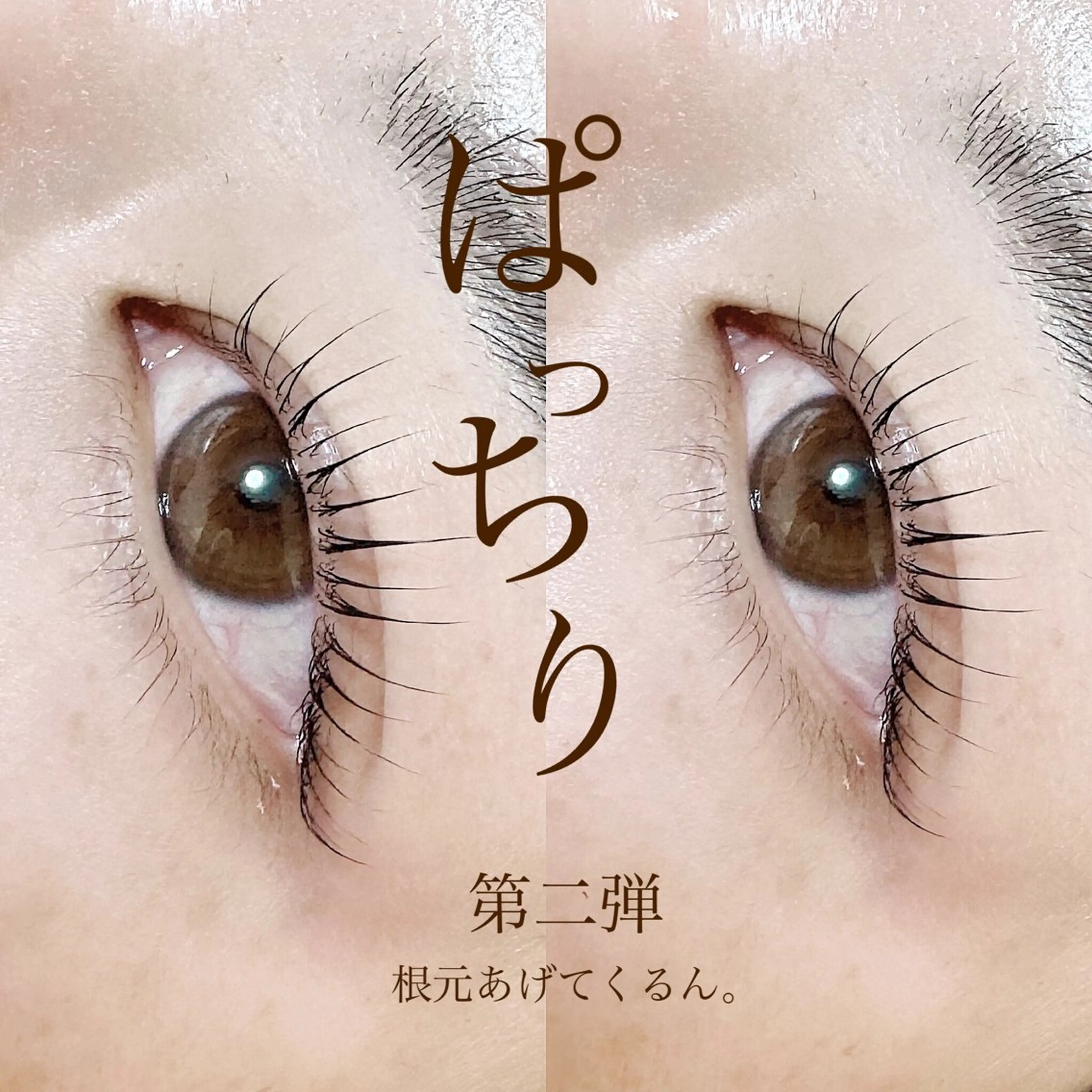 マツエク・マツパ room. ebisuのマツエク・マツパデザイン