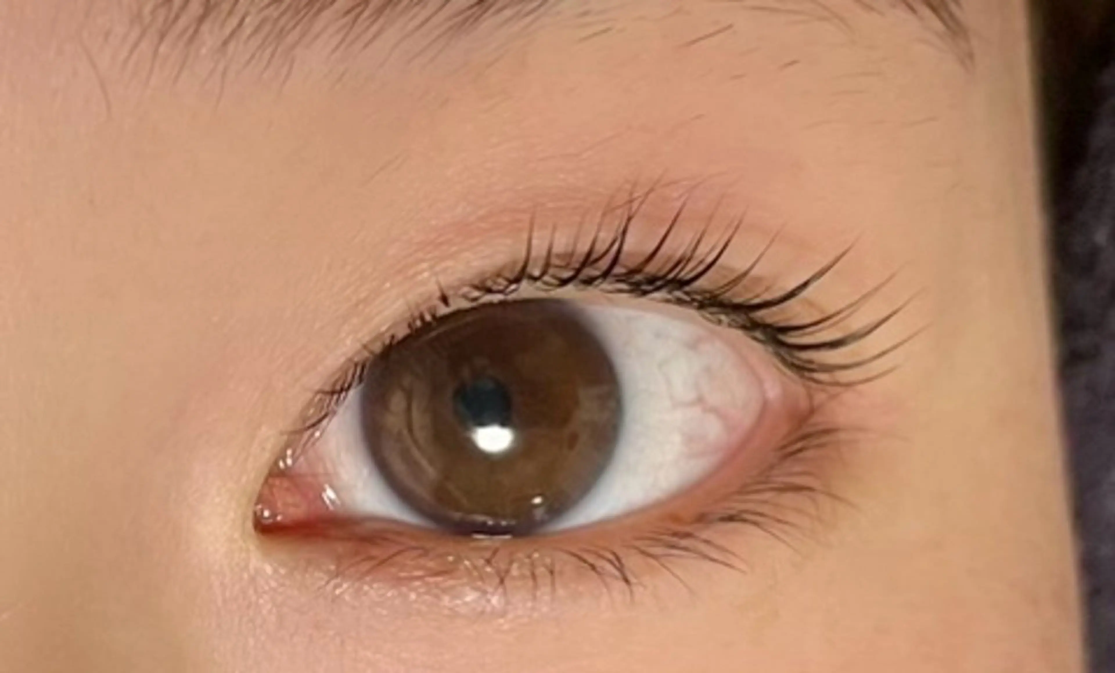 マツエク・マツパ まつ毛と美眉サロン Salonirohaの眉毛・アイブロウイメージ