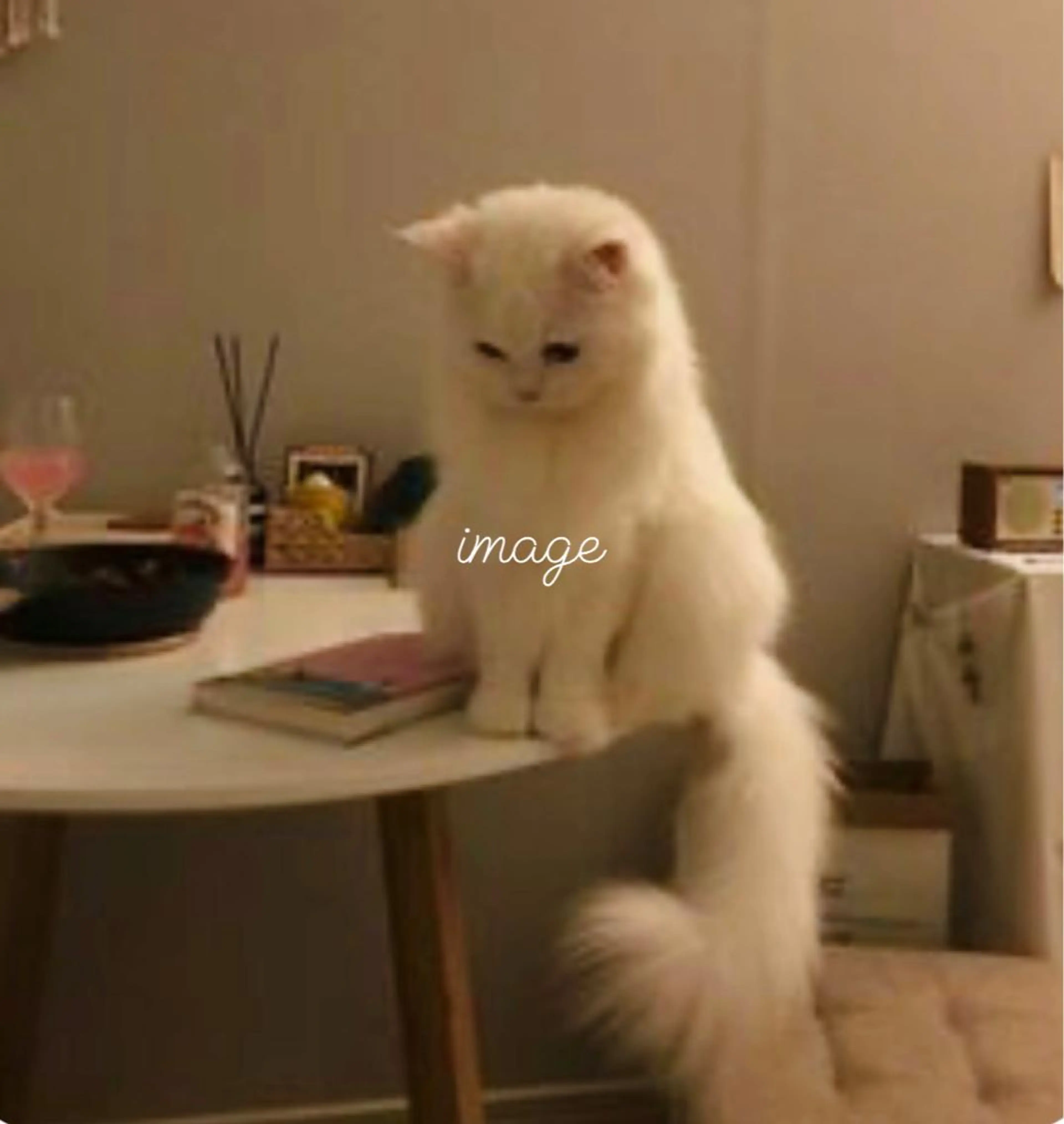 松本|似合わせ眉 ×まつげパーマ×ヘアの眉毛・アイブロウイメージ