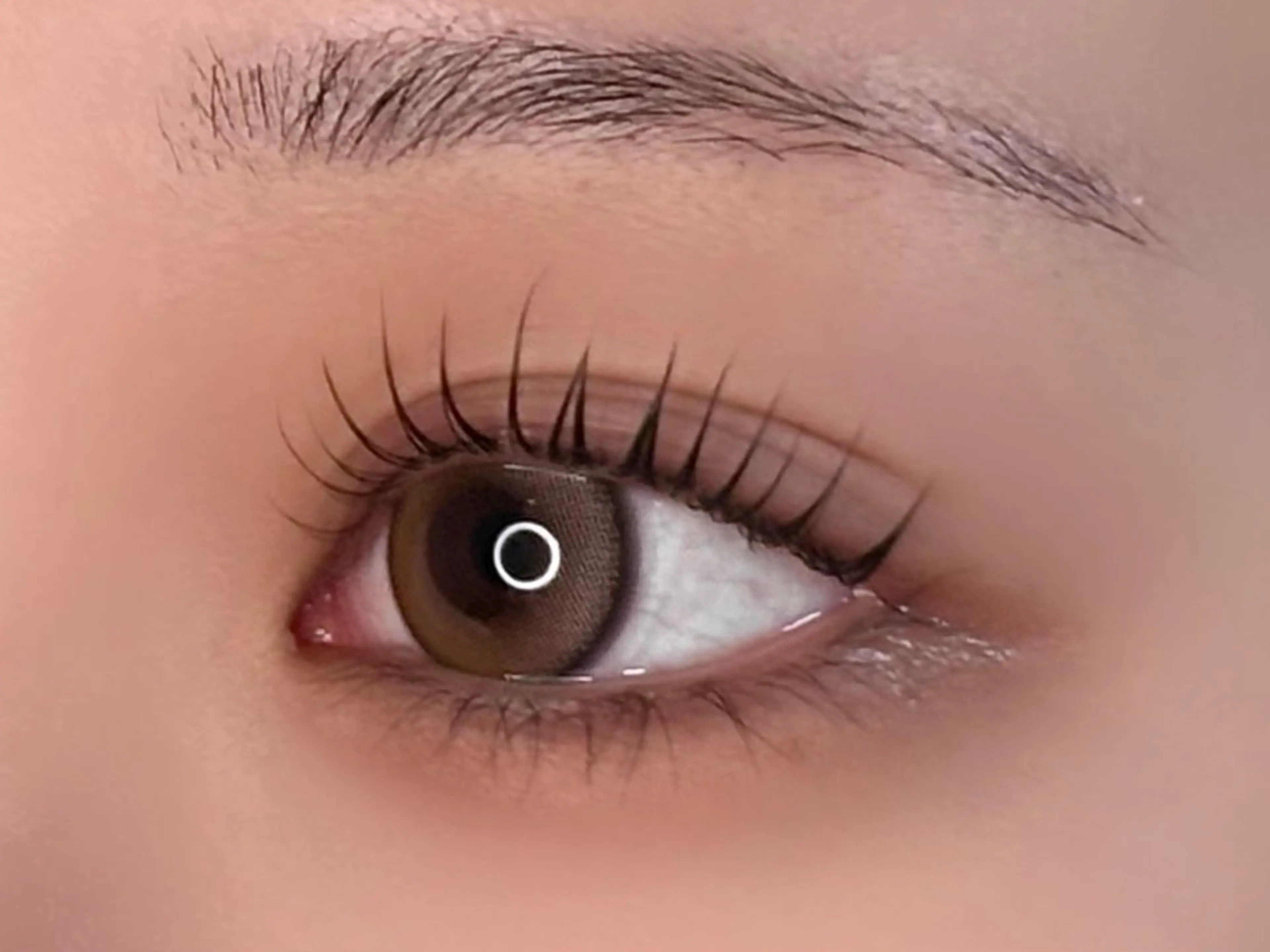 🎀デザインパーマ・ラッシュリフト🩰パリジェンヌ＊メーテル＊ファービー＊ペッタなどお好みのデザインで🧸の写真