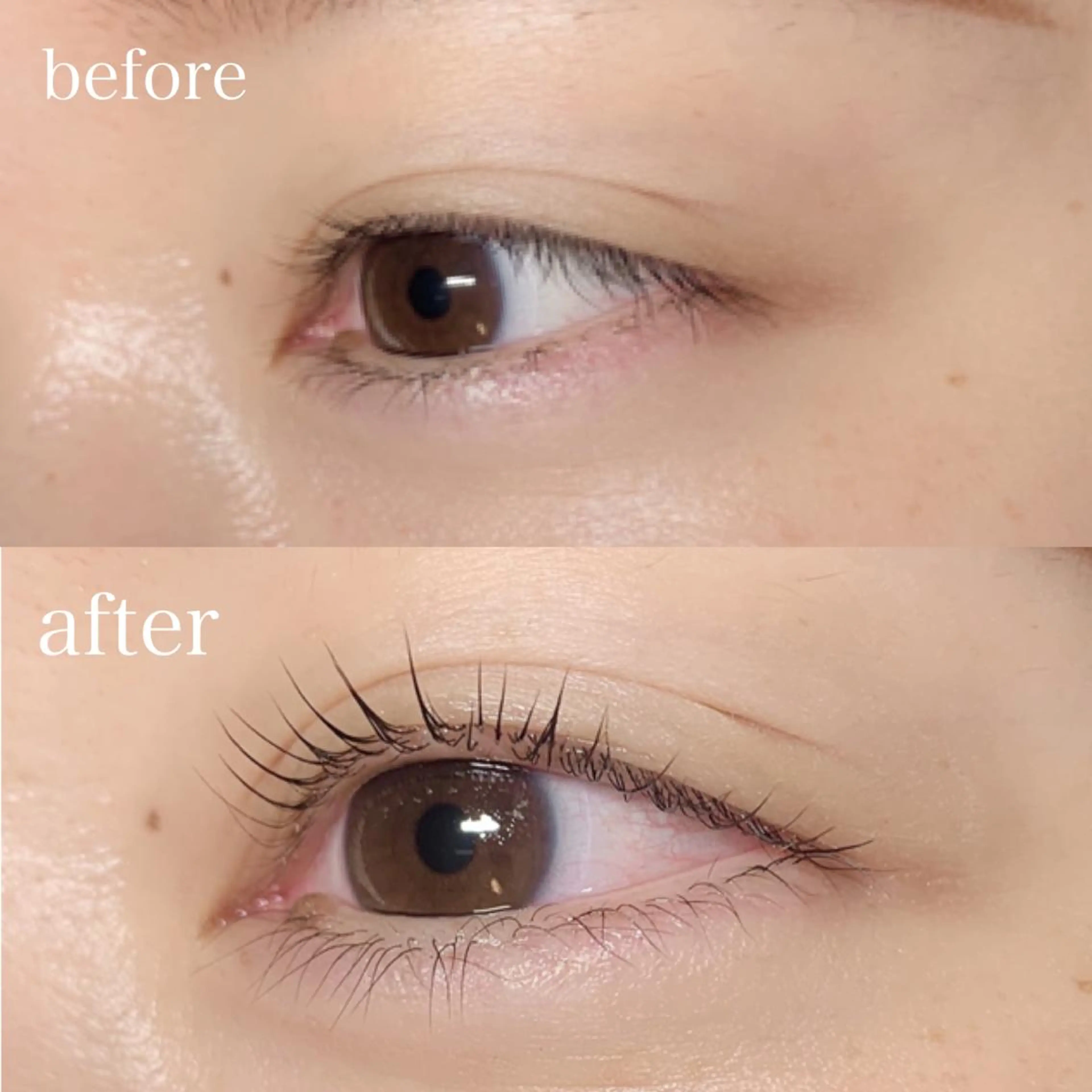 【ミニモ学割✨】パリジェンヌラッシュリフト🌱の写真