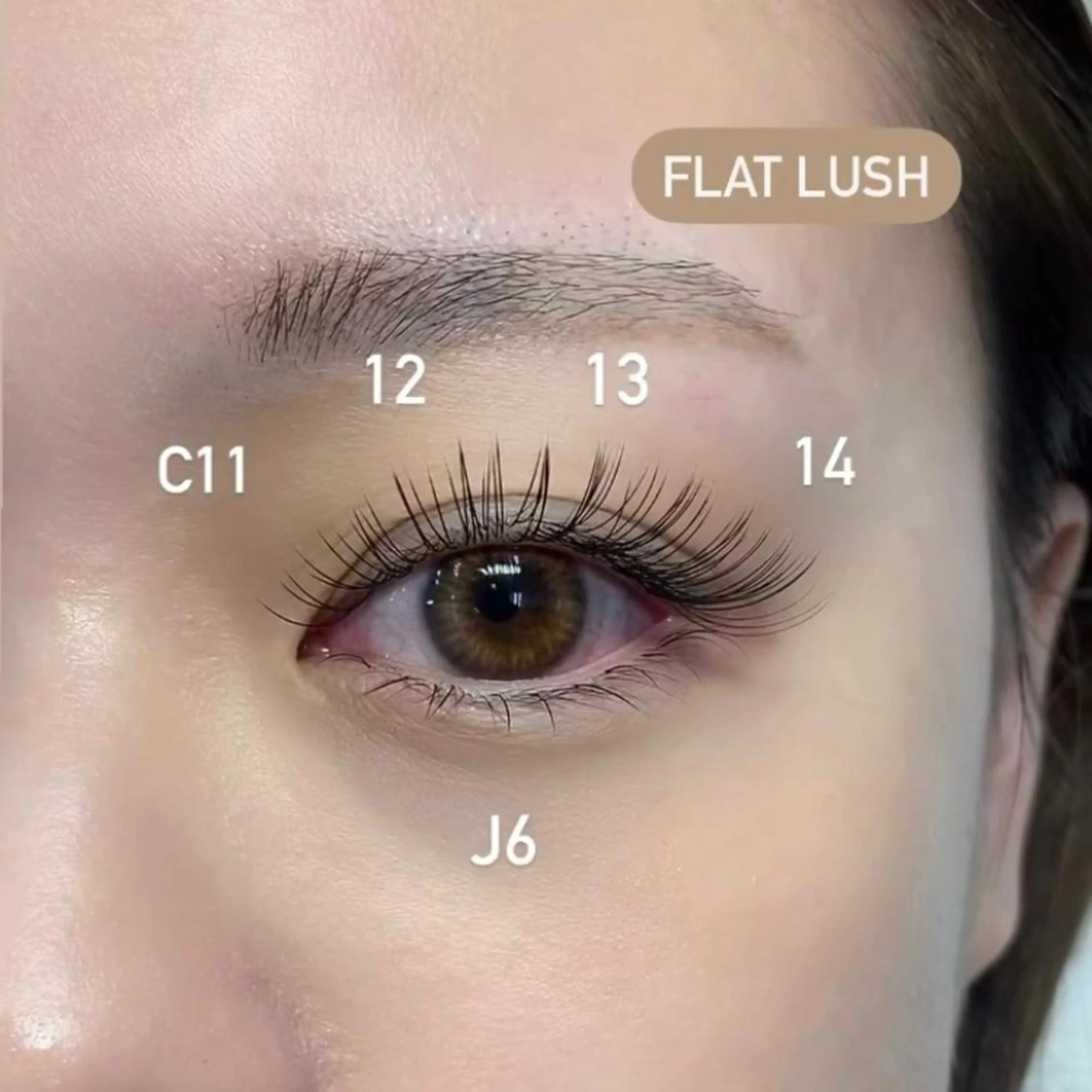 マツエク・マツパ shima .･*’’‧✧̣̇‧の眉毛・アイブロウイメージ