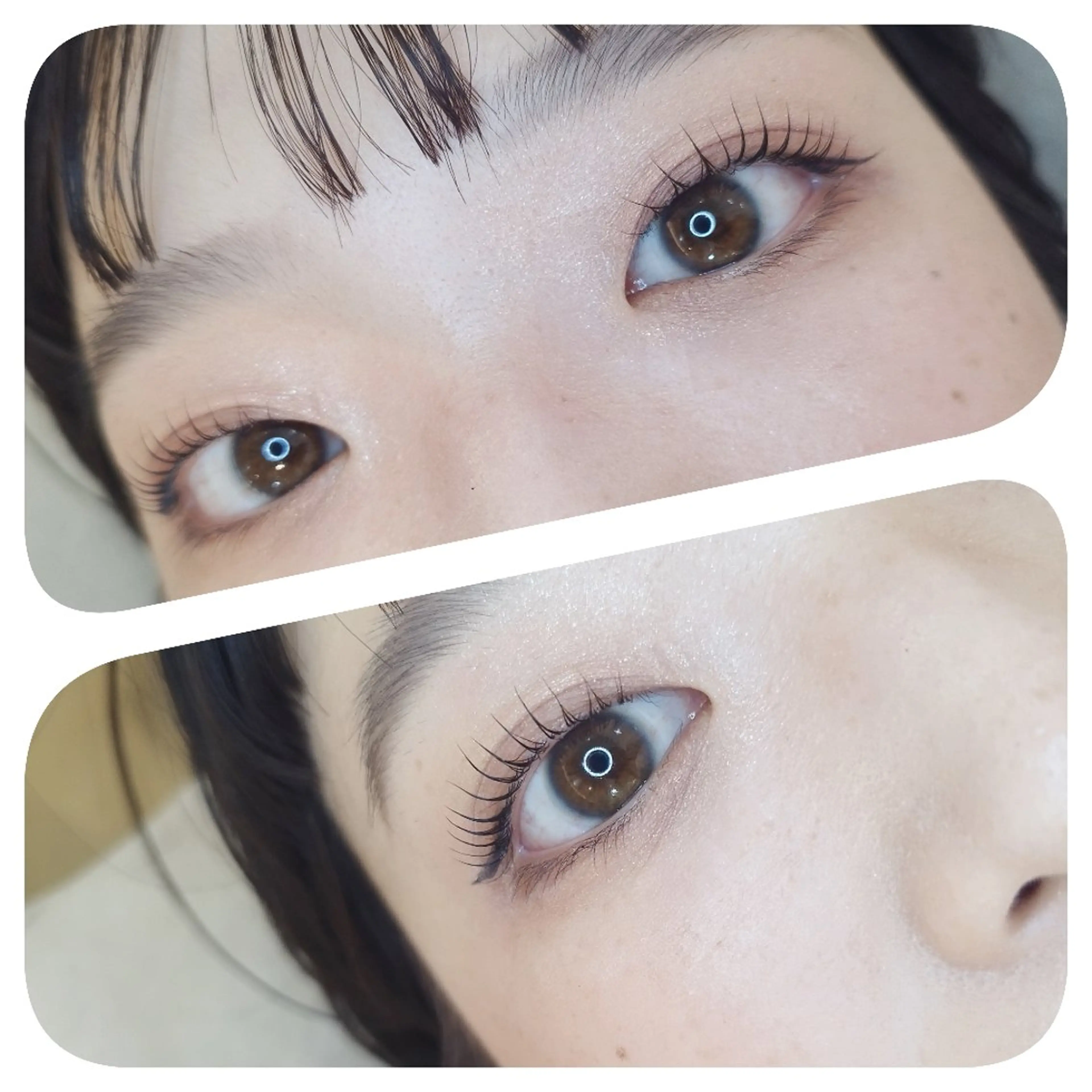 マツエク・マツパ 一重×まつ毛パーマ まつ毛と眉毛の専門店 jewel　天王寺店のマツエク・マツパデザイン