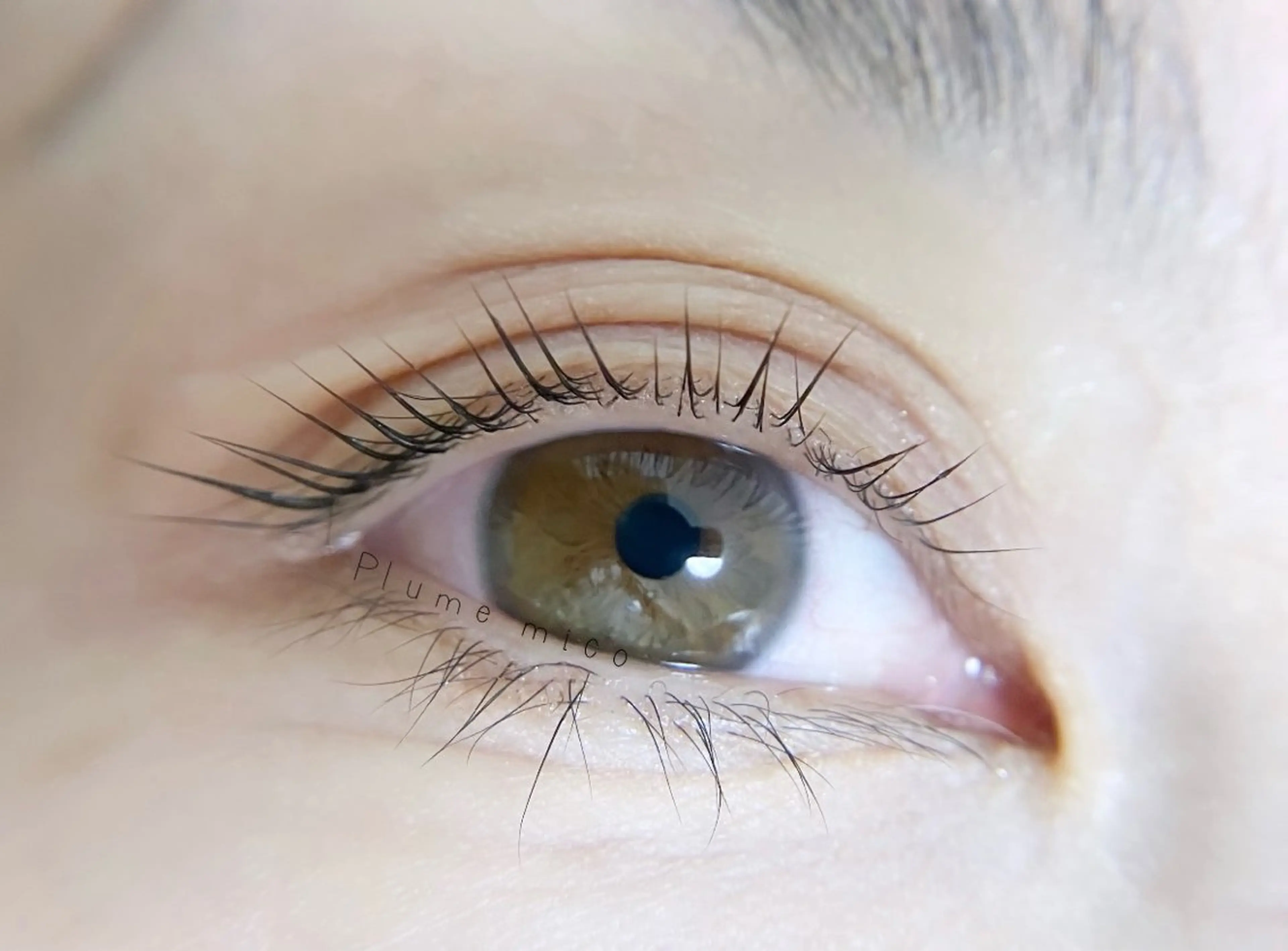 マツエク・マツパ マツパ Plume micoのマツエク・マツパデザイン