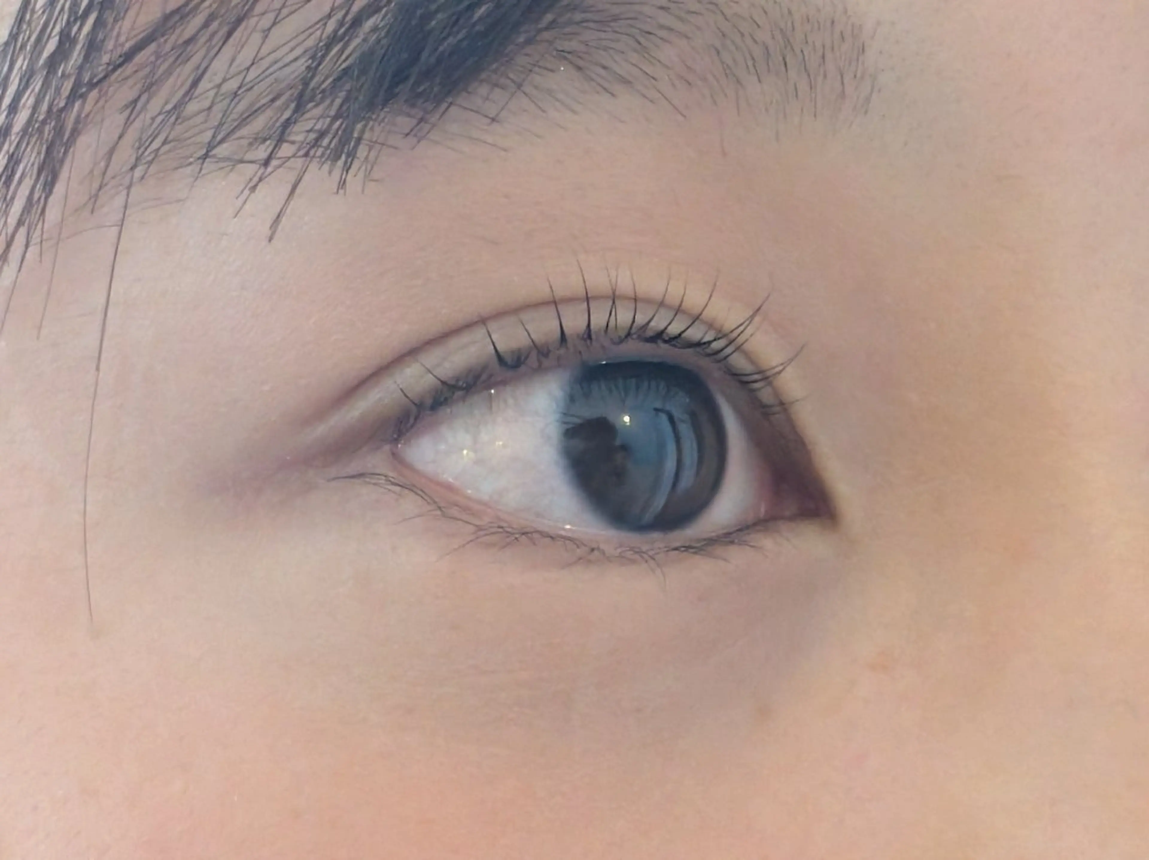 マツエク・マツパ まつげパーマ Sun Brown Ryu-gaのマツエク・マツパデザイン