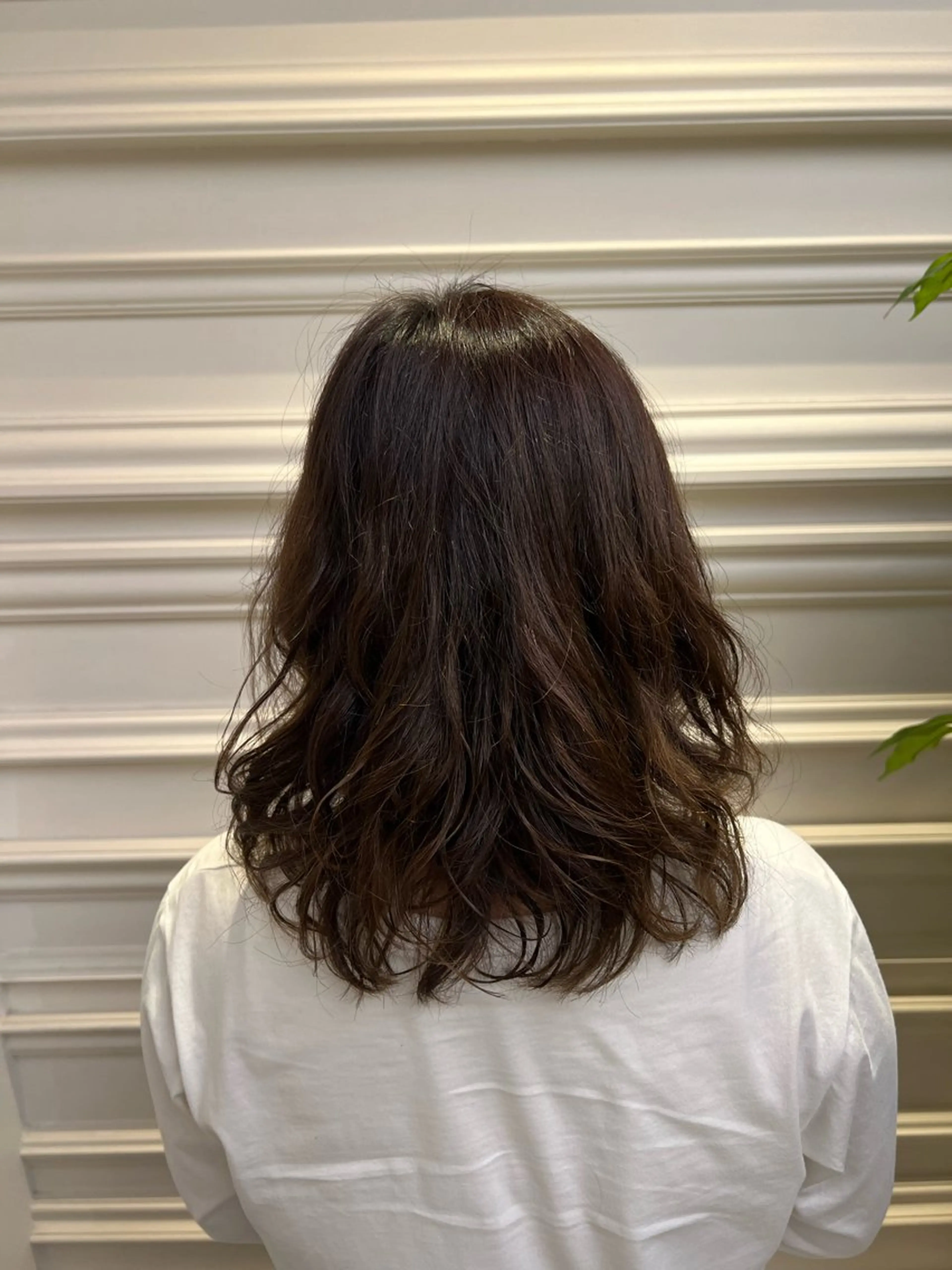 ミディアム パーマ 🫧無料カットモデル 吉野志保🫧のヘアスタイル