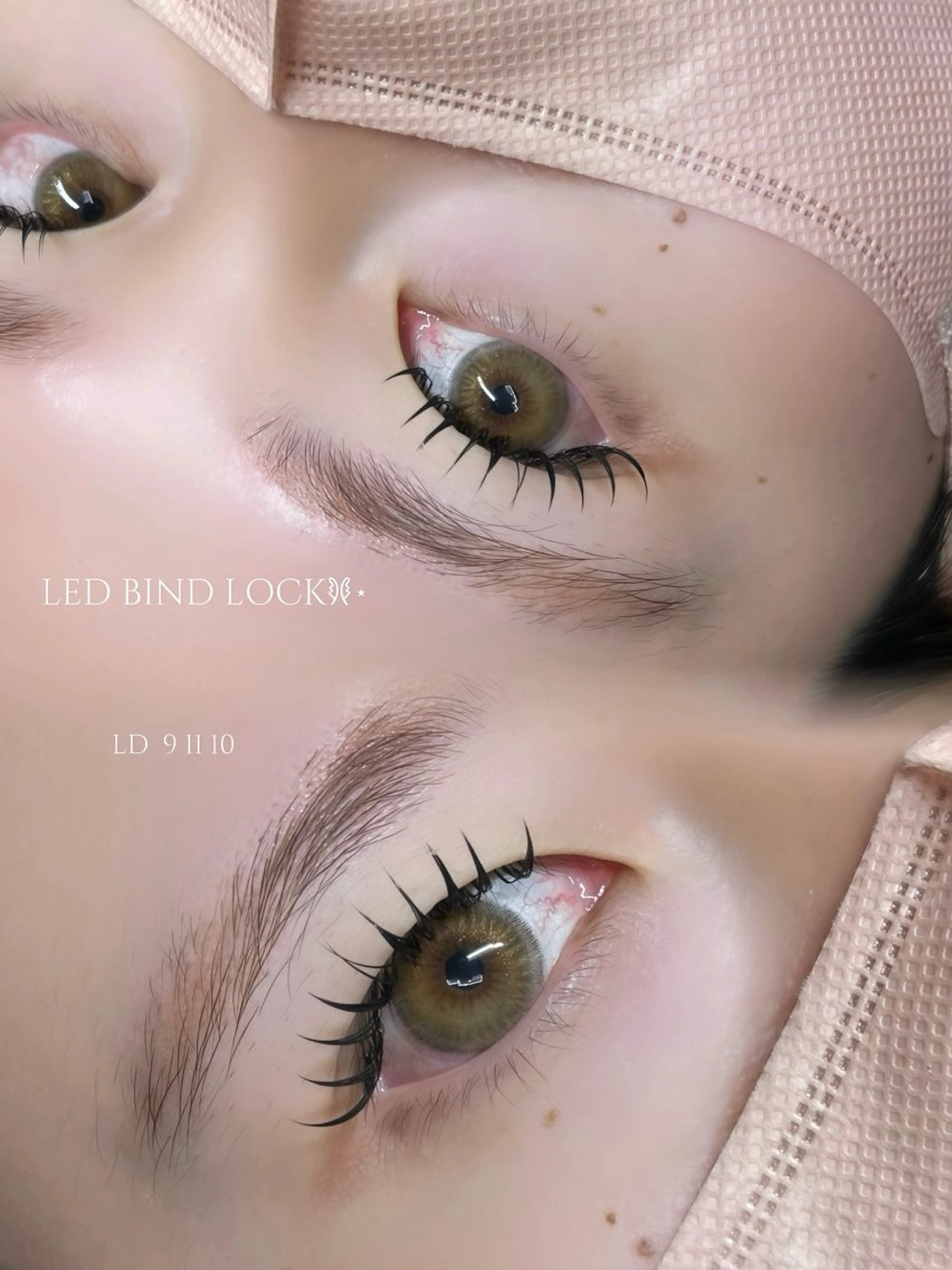 LEDバインドロック　100束　オフ込みの写真