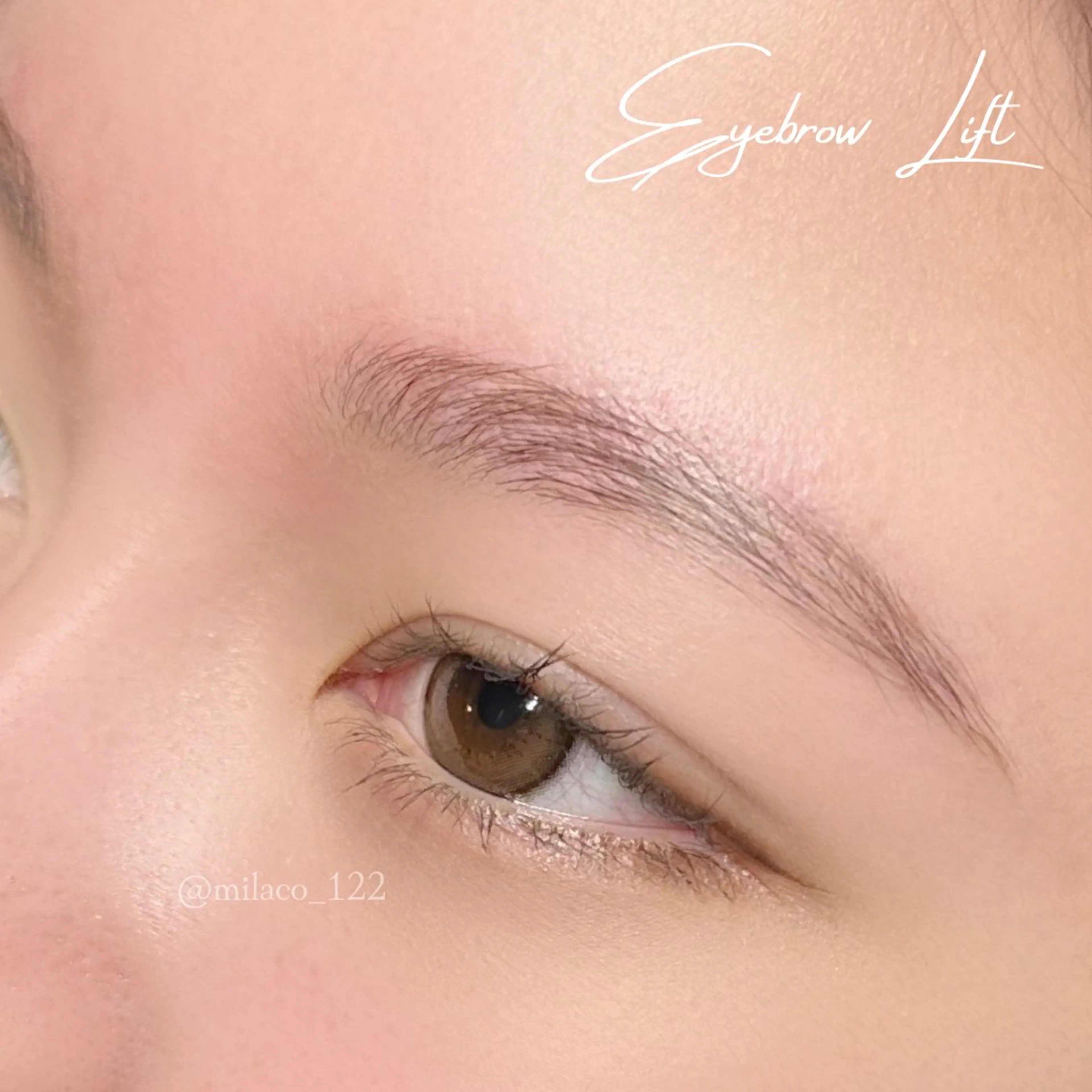 アイブロウ ハリウッドブロウリフト MiLACO❁ 【ミラコ】の眉毛・アイブロウイメージ