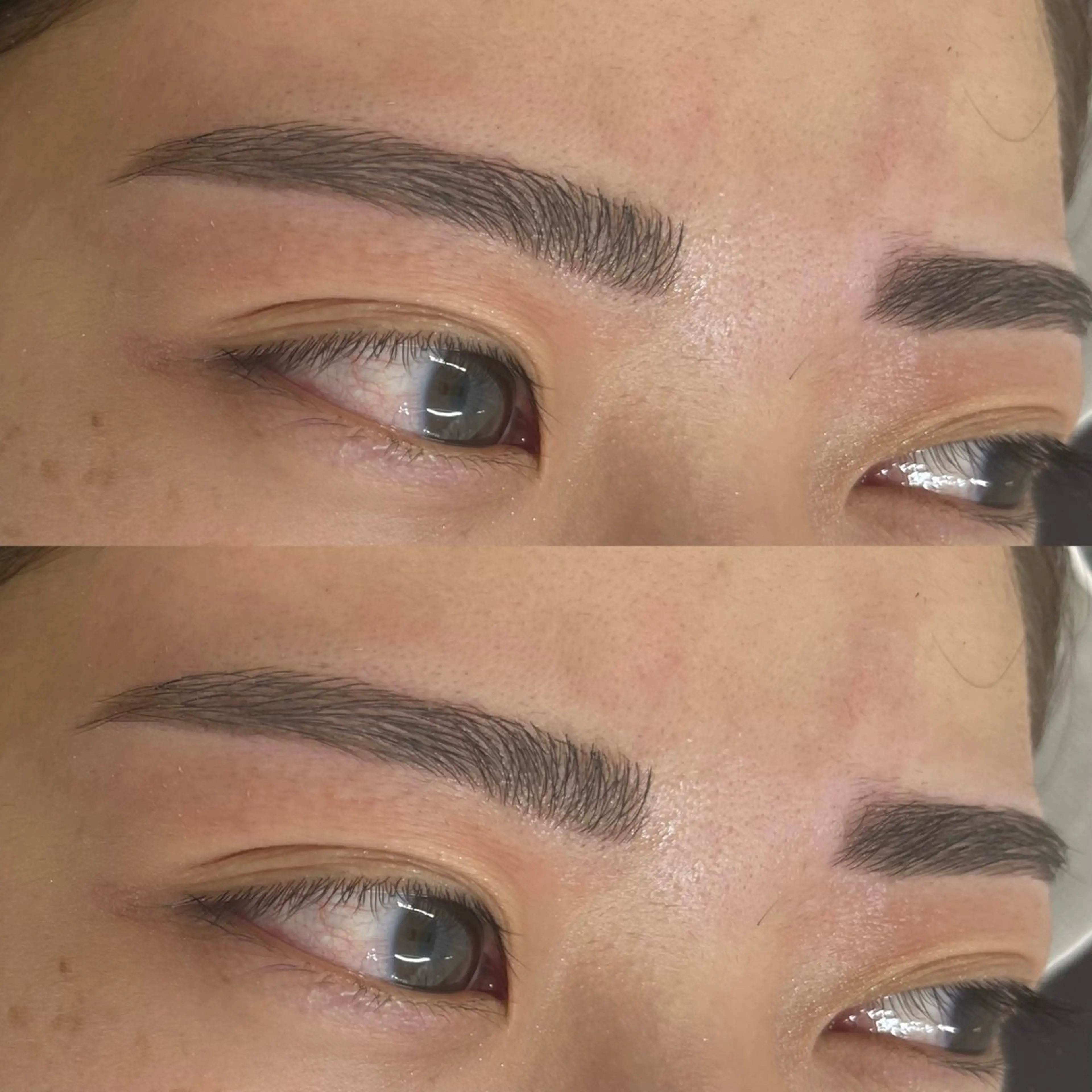 アイブロウ メンズアイブロウ . Yの眉毛・アイブロウイメージ