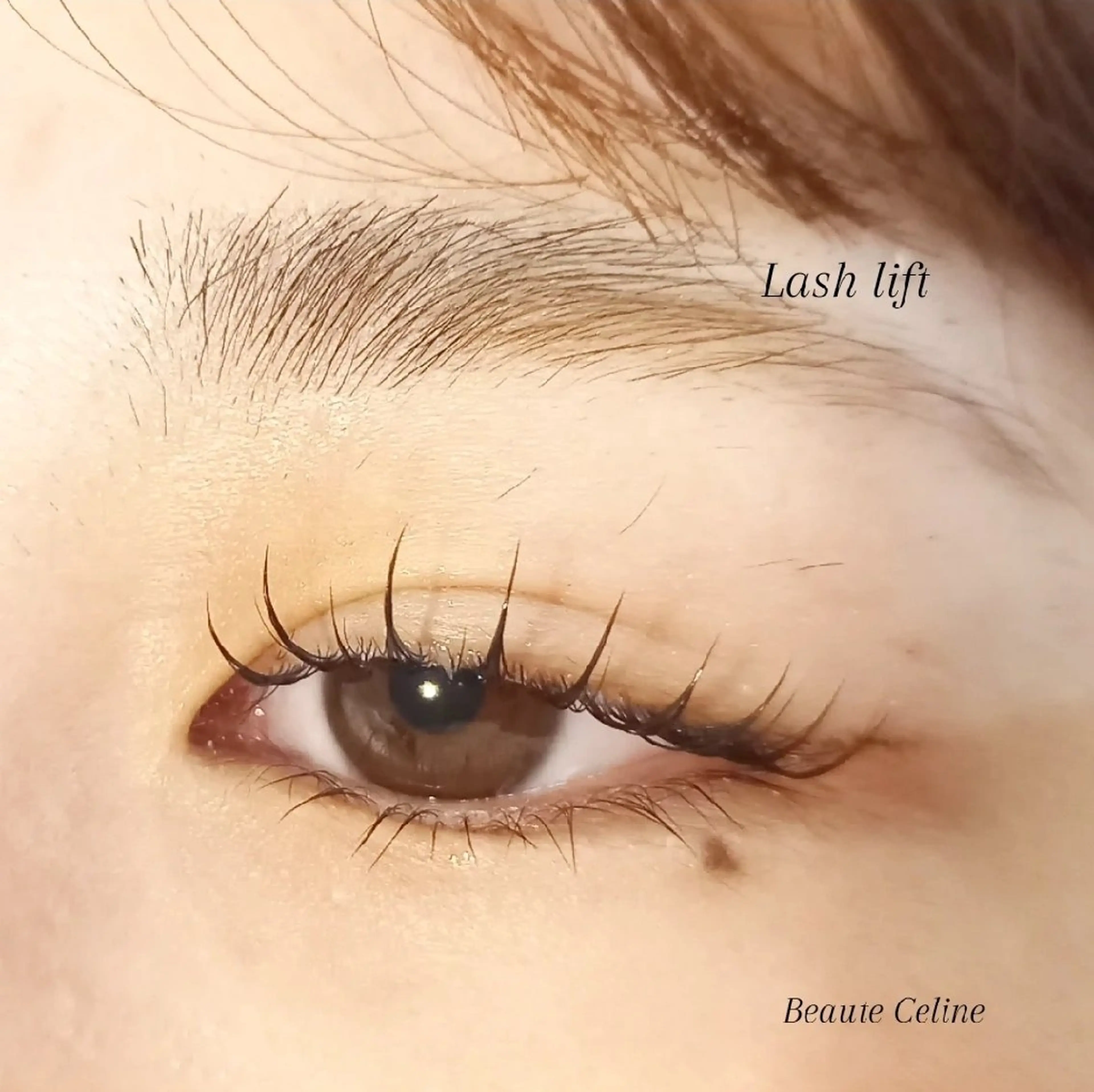 マツエク・マツパ マツパ beaute.celine所属・8時~✨beaute Celine🌛🌹のマツエク・マツパデザイン