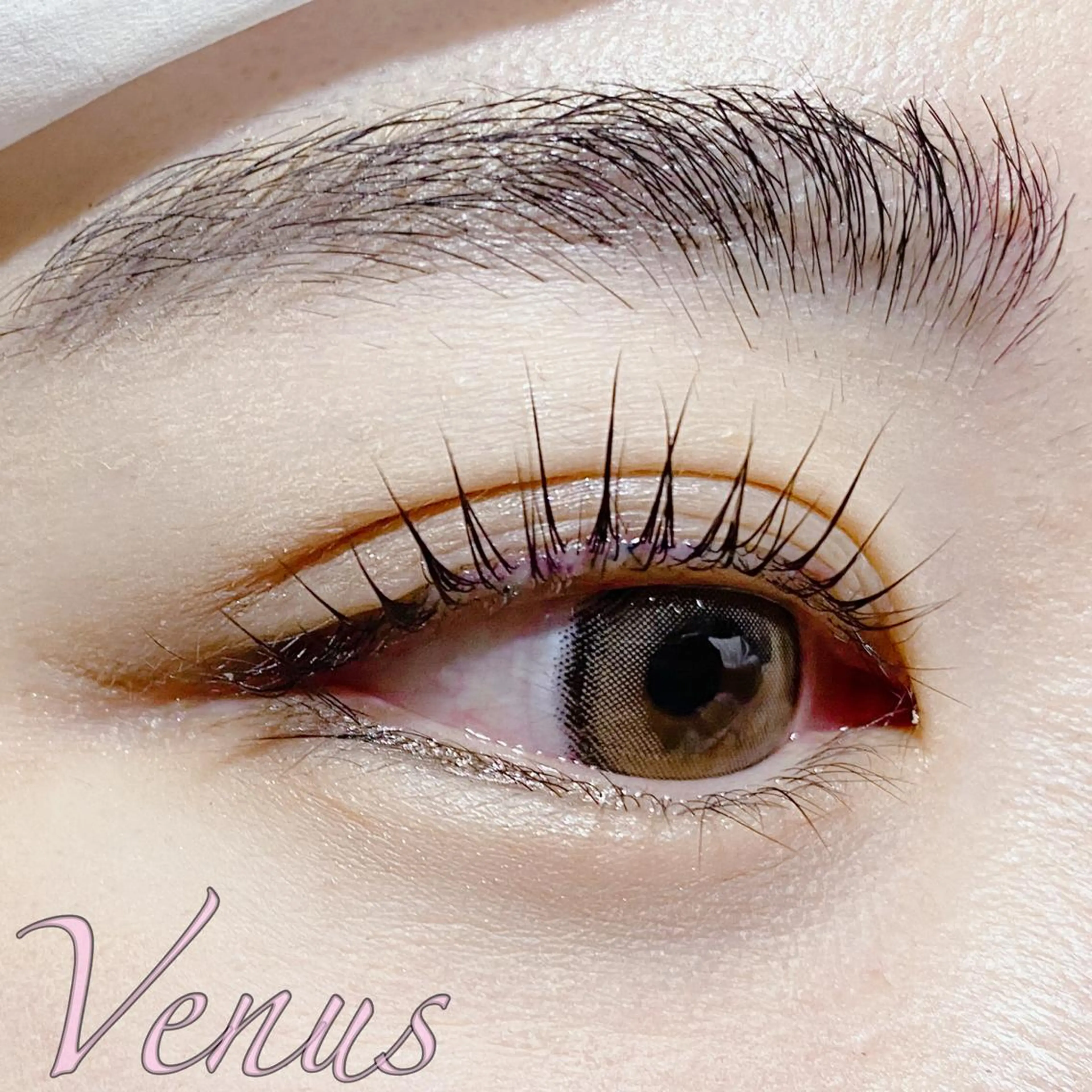 マツエク・マツパ Chou2jip 竹田麗のマツエク・マツパデザイン