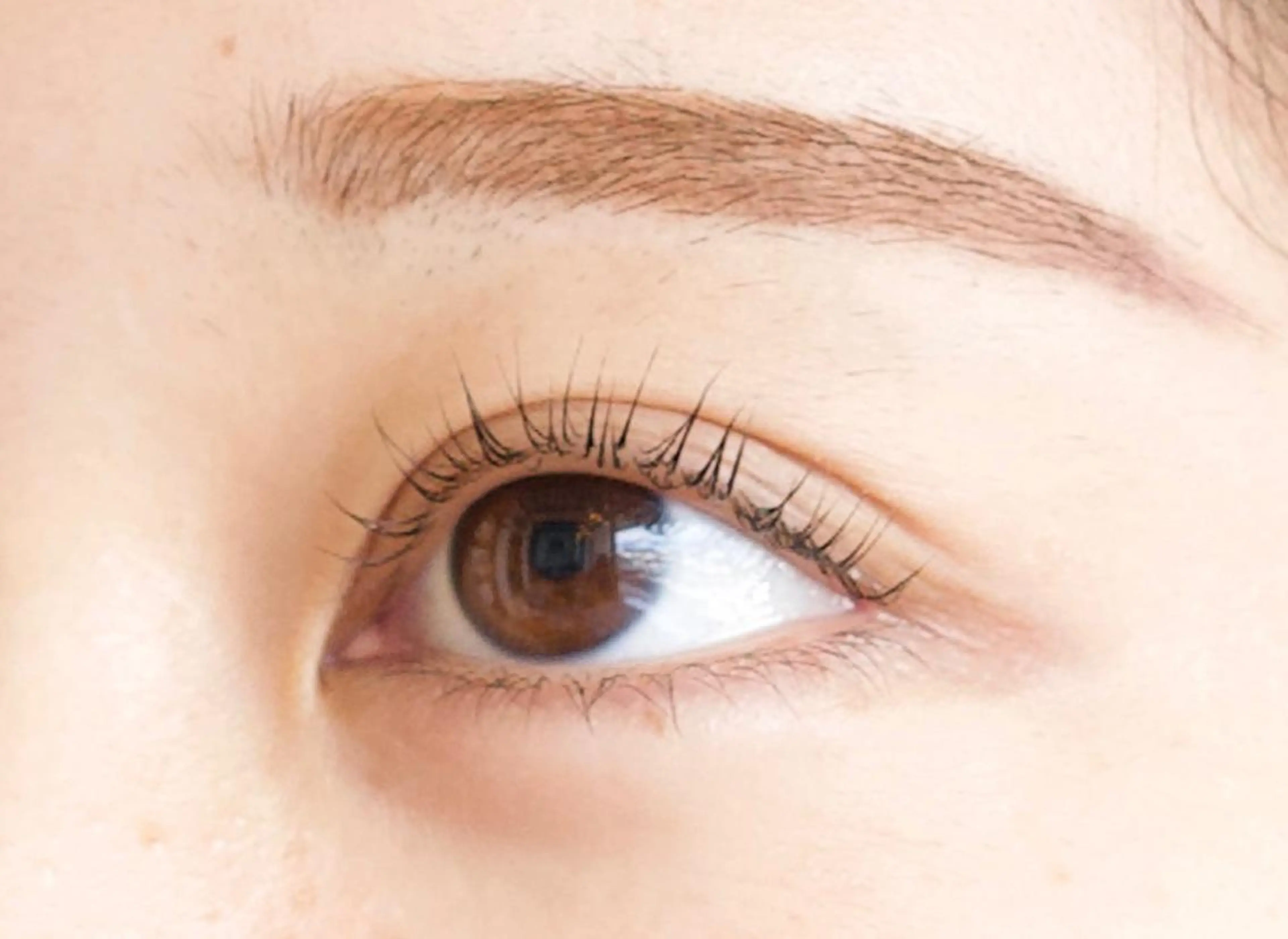 マツエク・マツパ MiLua 🌙✨のマツエク・マツパデザイン