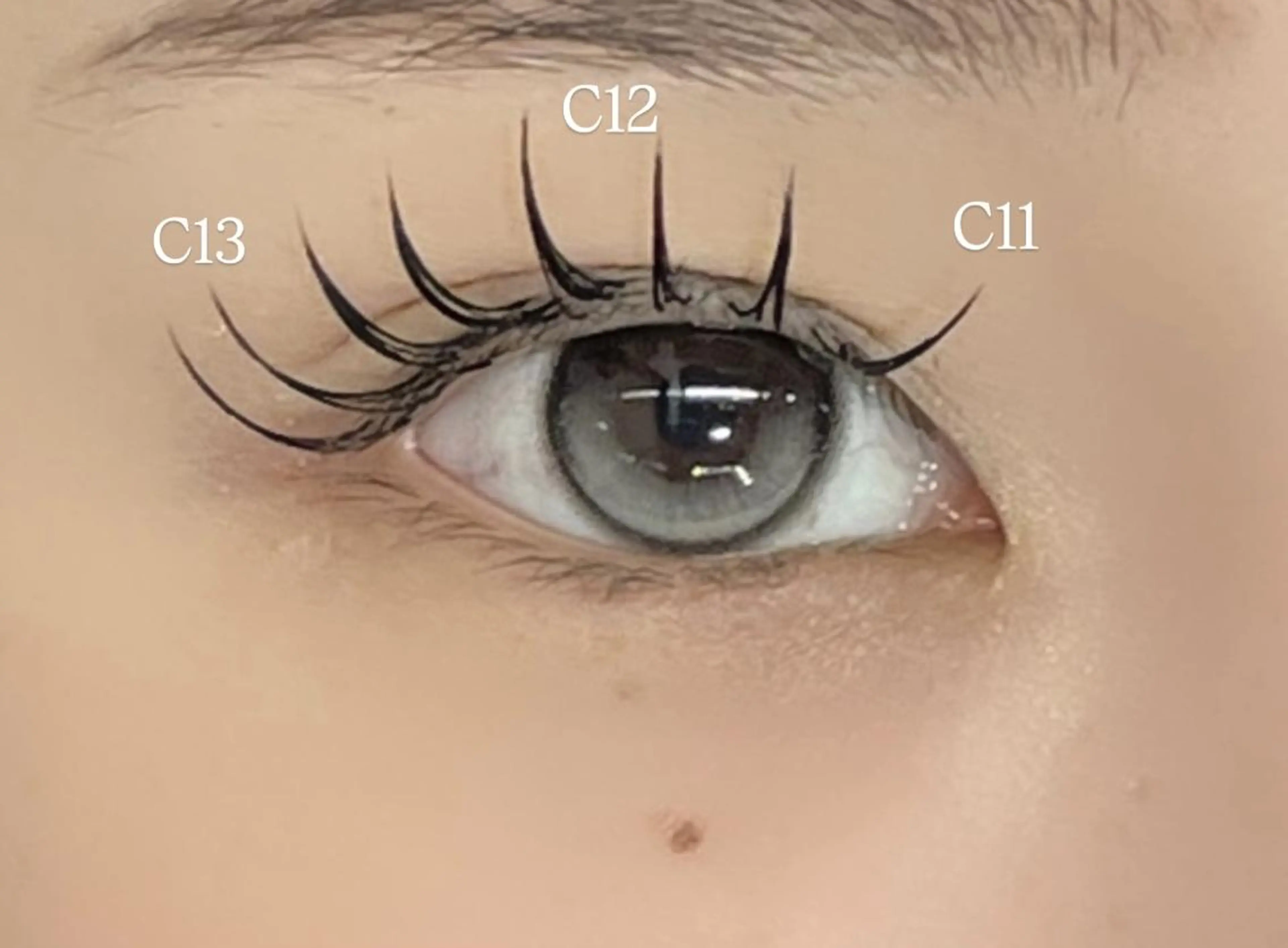 マツエク・マツパ 🍒WOLTOKYO 🍒runaのマツエク・マツパデザイン