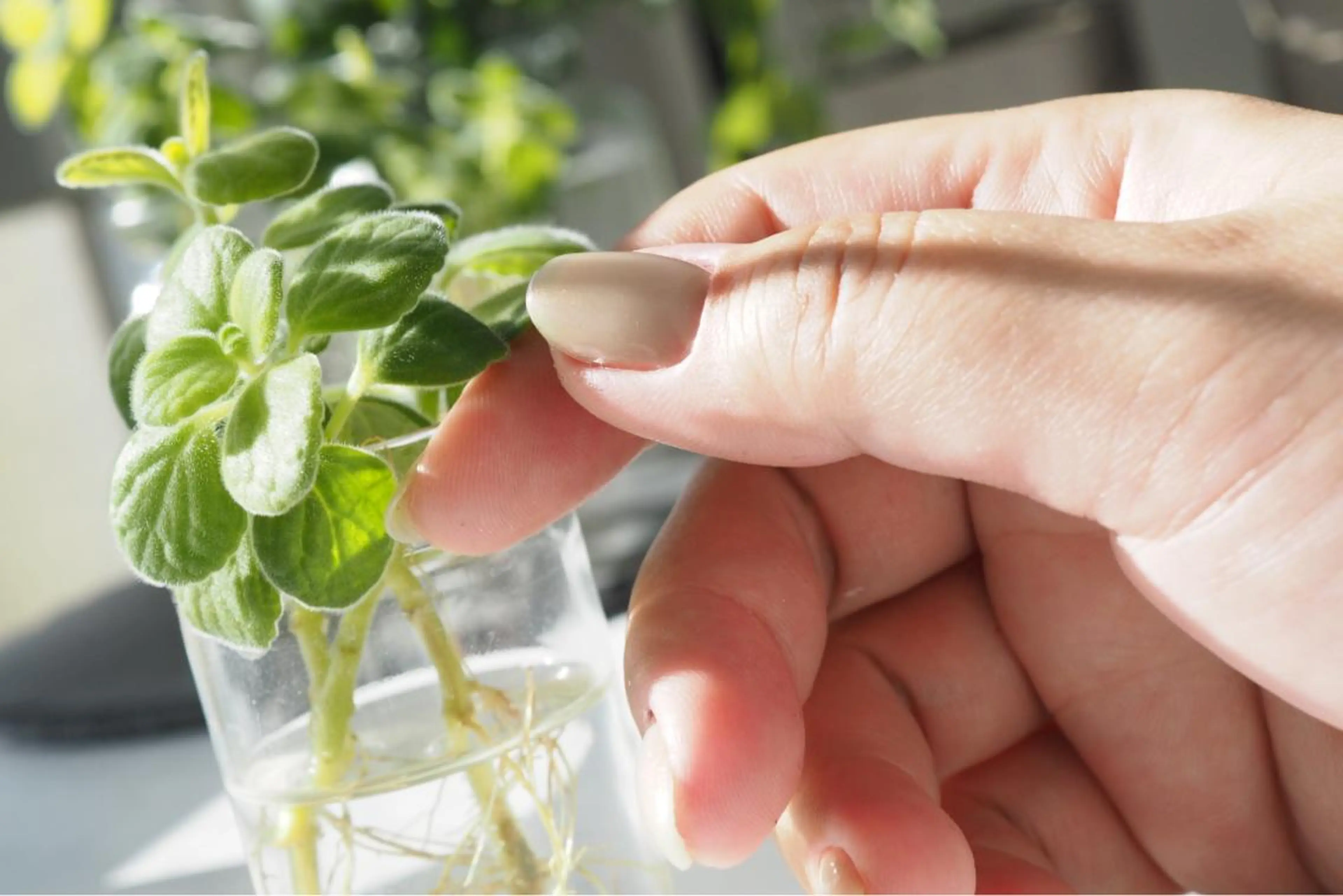 ショート カラー ネイル ネイルアーティスト アリスのネイルデザイン