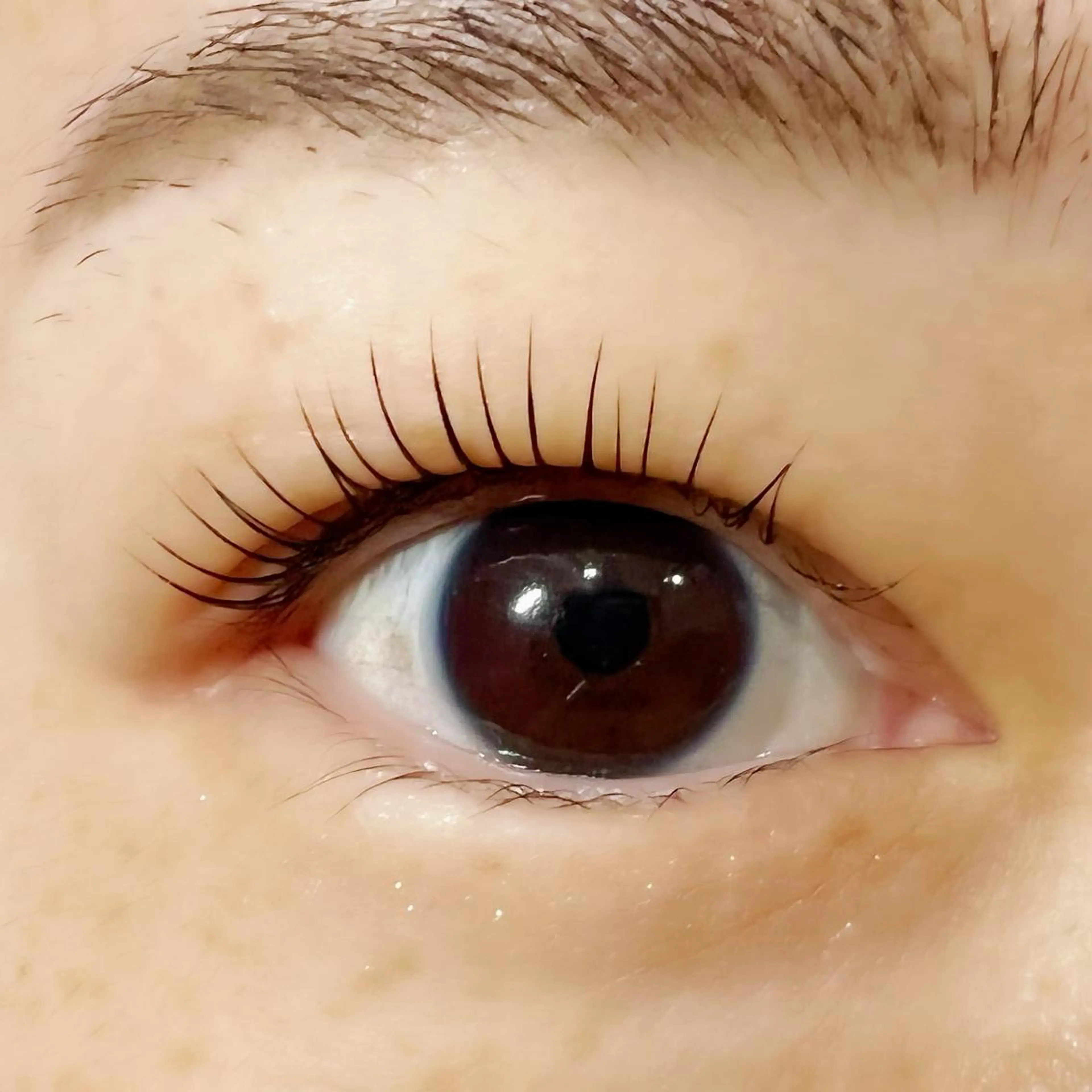 マツエク・マツパ パリジェンヌラッシュリフト 🧸Celeste Venusのマツエク・マツパデザイン