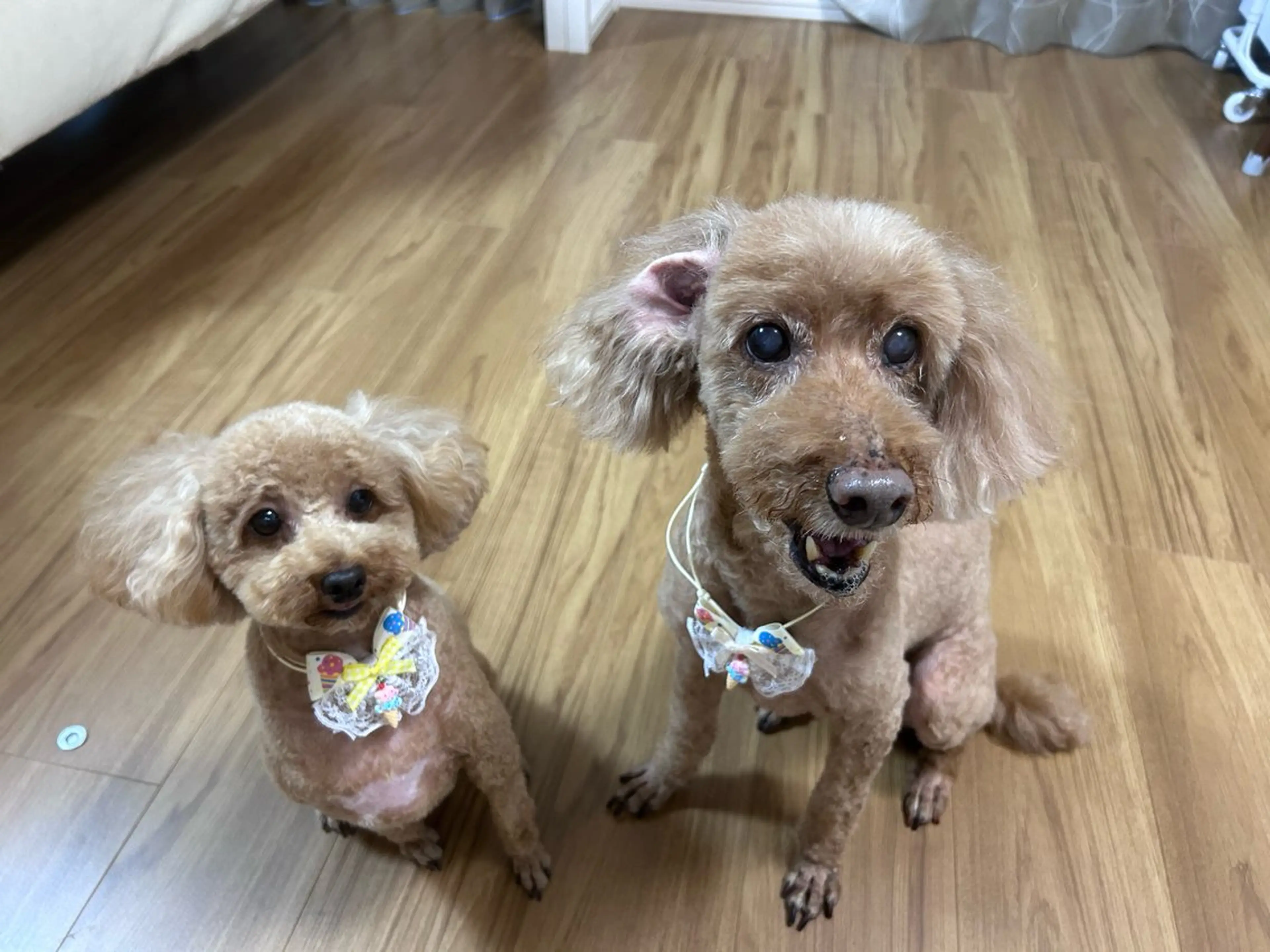 犬のいるネイルサロン Fuu nailsのネイルデザイン