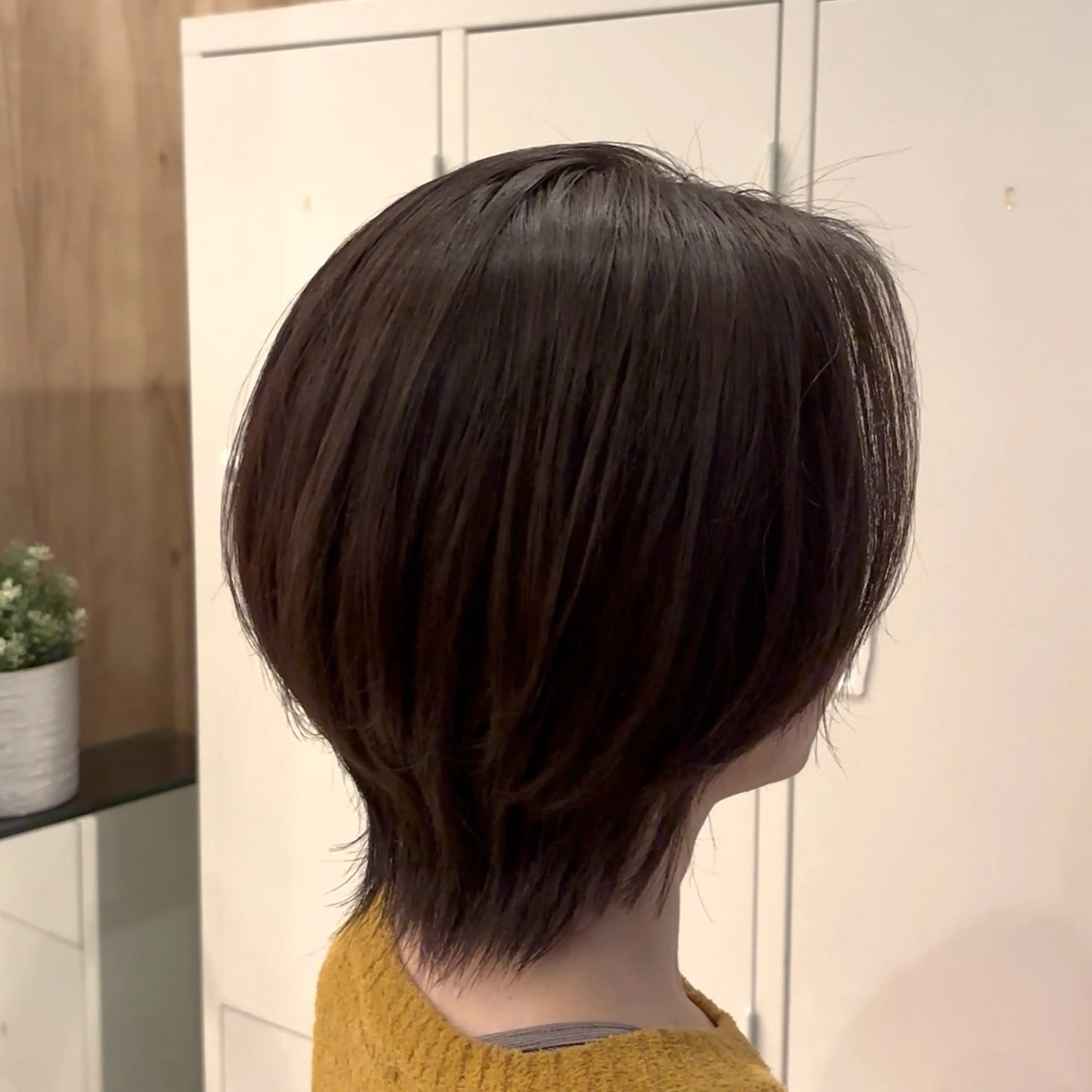 ショート カラー ウルフカット レイヤー/ショート /Yutaのヘアスタイル