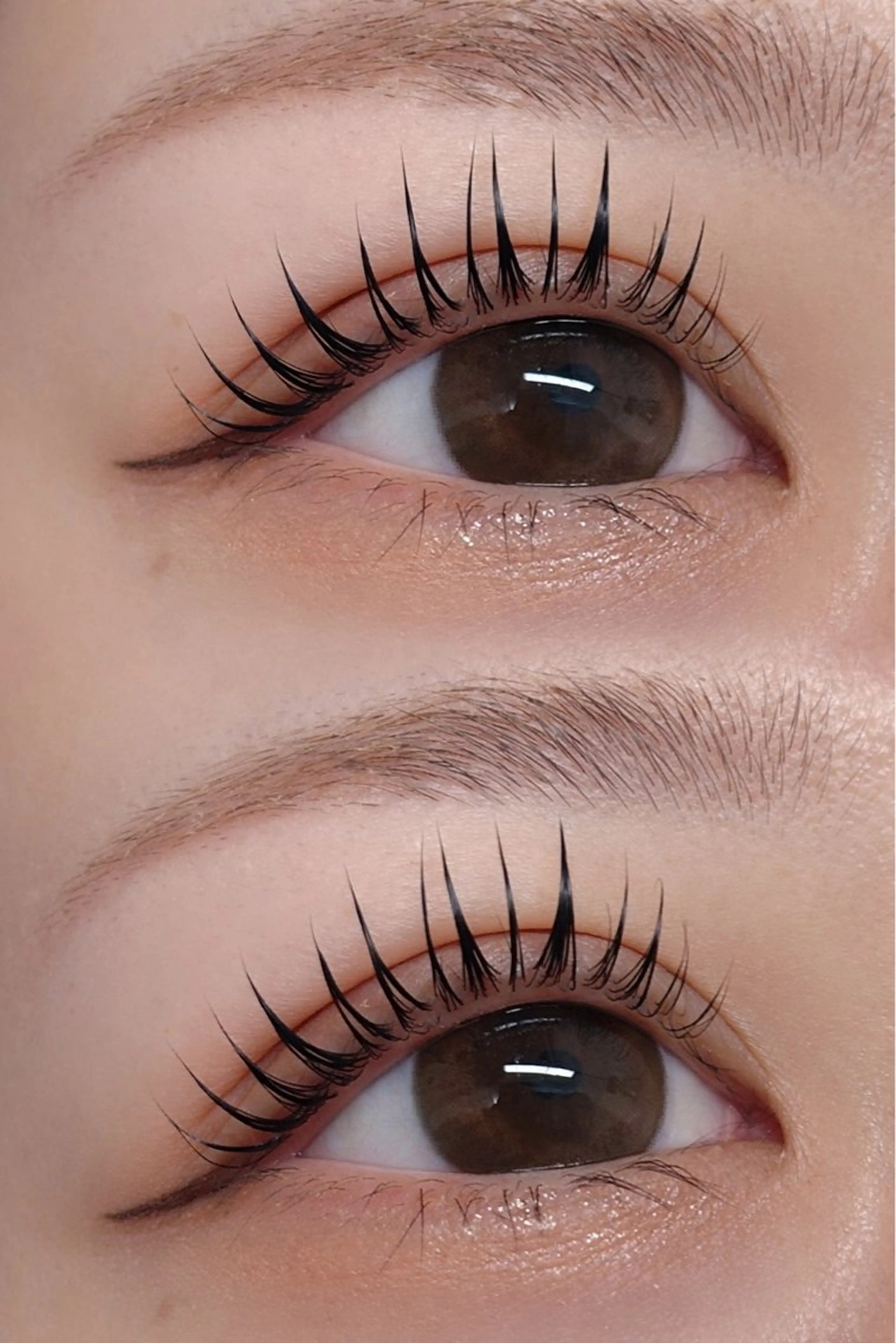 マツエク・マツパ パリジェンヌラッシュリフト マツパ まつ毛サロン【u.】 mayuのマツエク・マツパデザイン