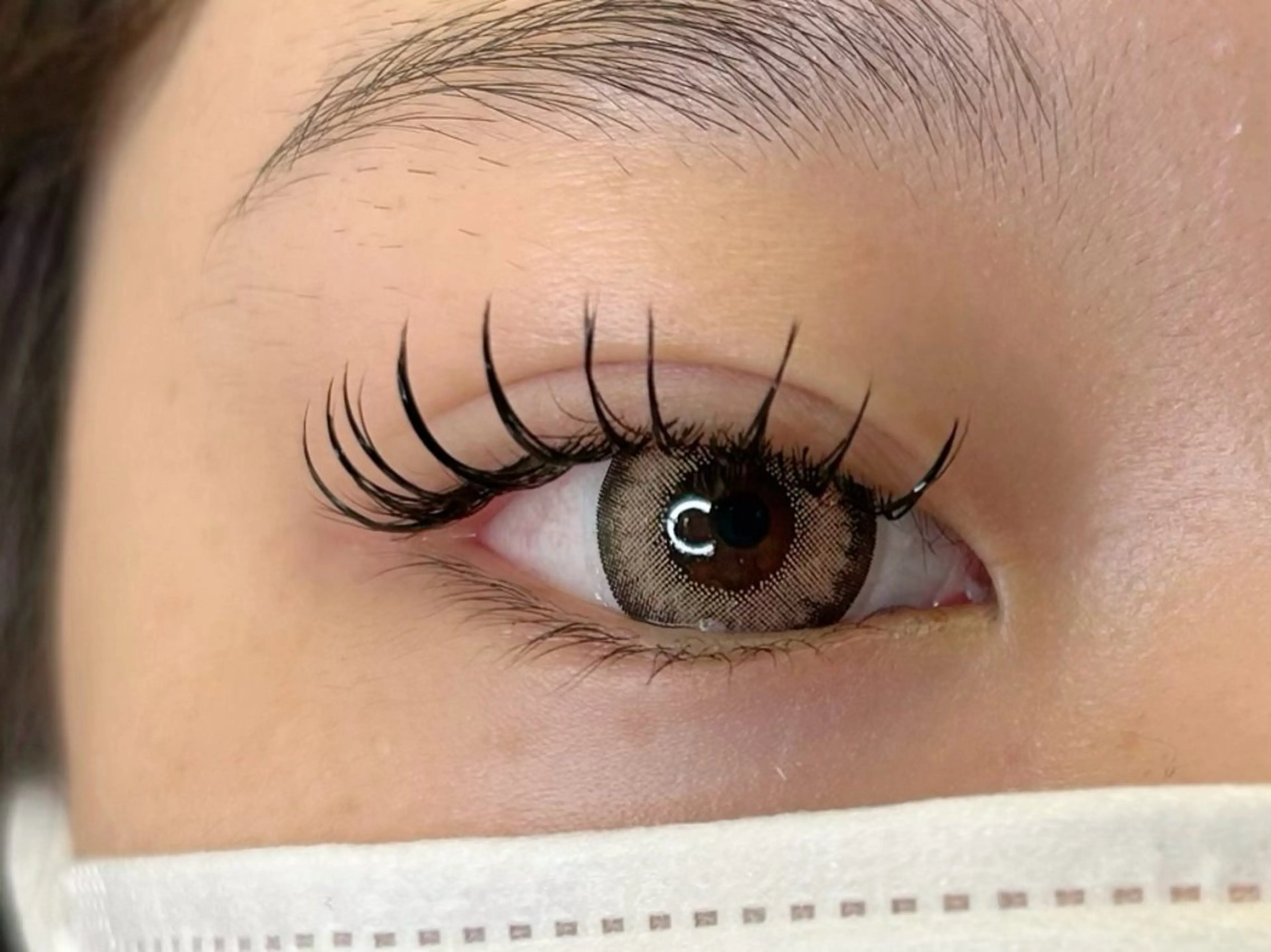 マツエク・マツパ フラットラッシュ マツエク elua eyelashの眉毛・アイブロウイメージ