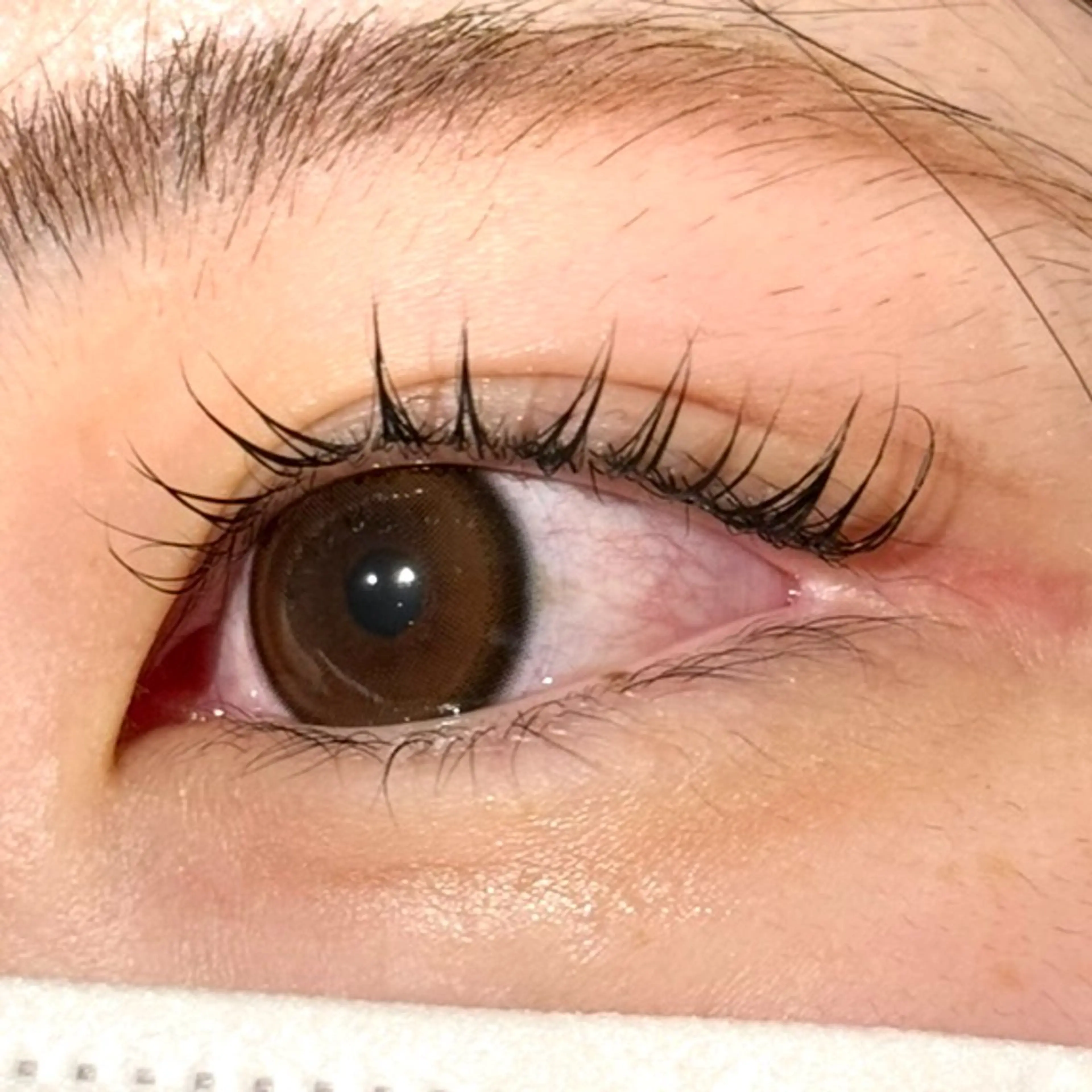 マツエク・マツパ 束感まつ毛 韓国風マツエク マツパ Lowen / shionのマツエク・マツパデザイン