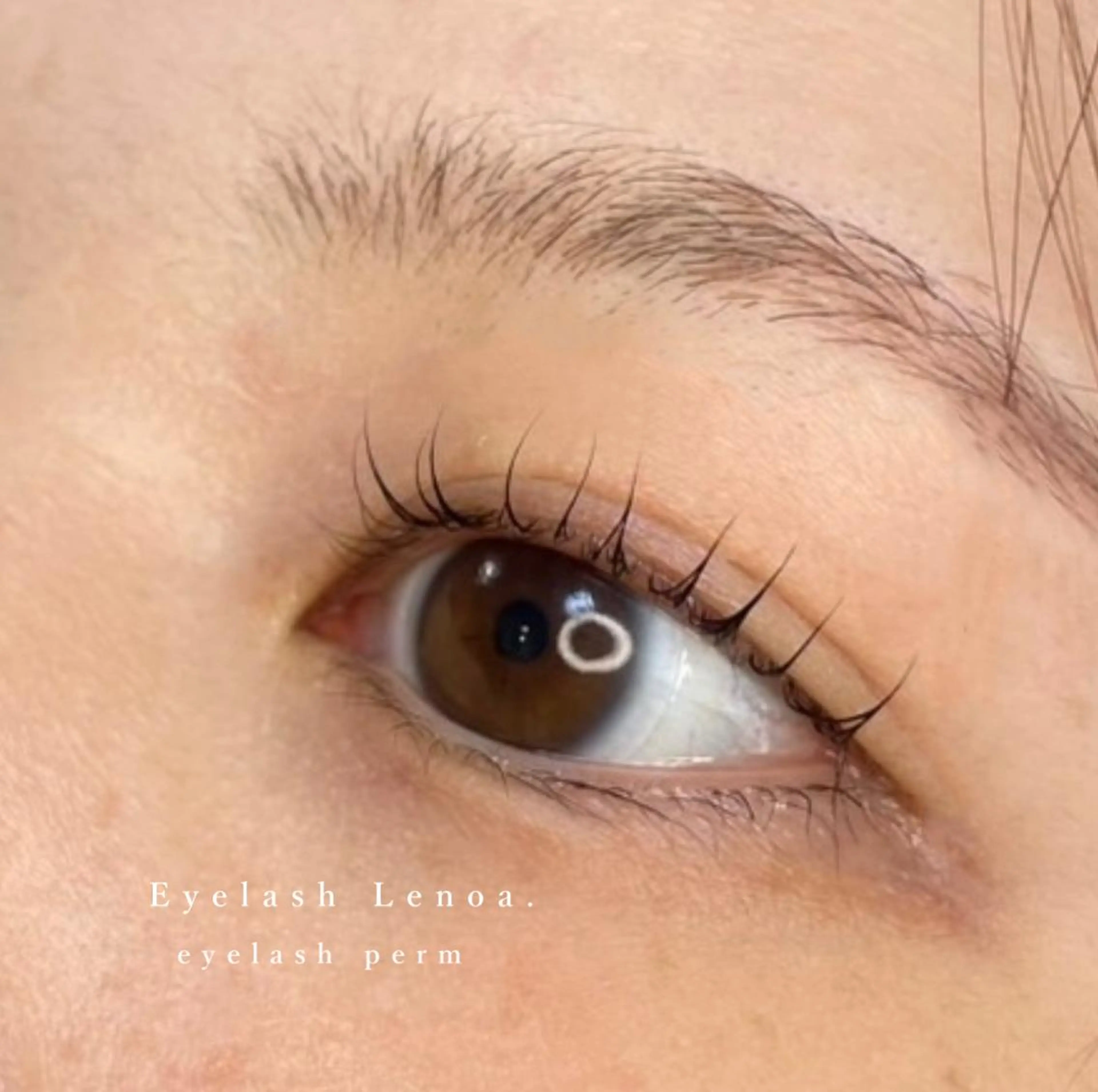 マツエク・マツパ eyelash Lenoaのマツエク・マツパデザイン