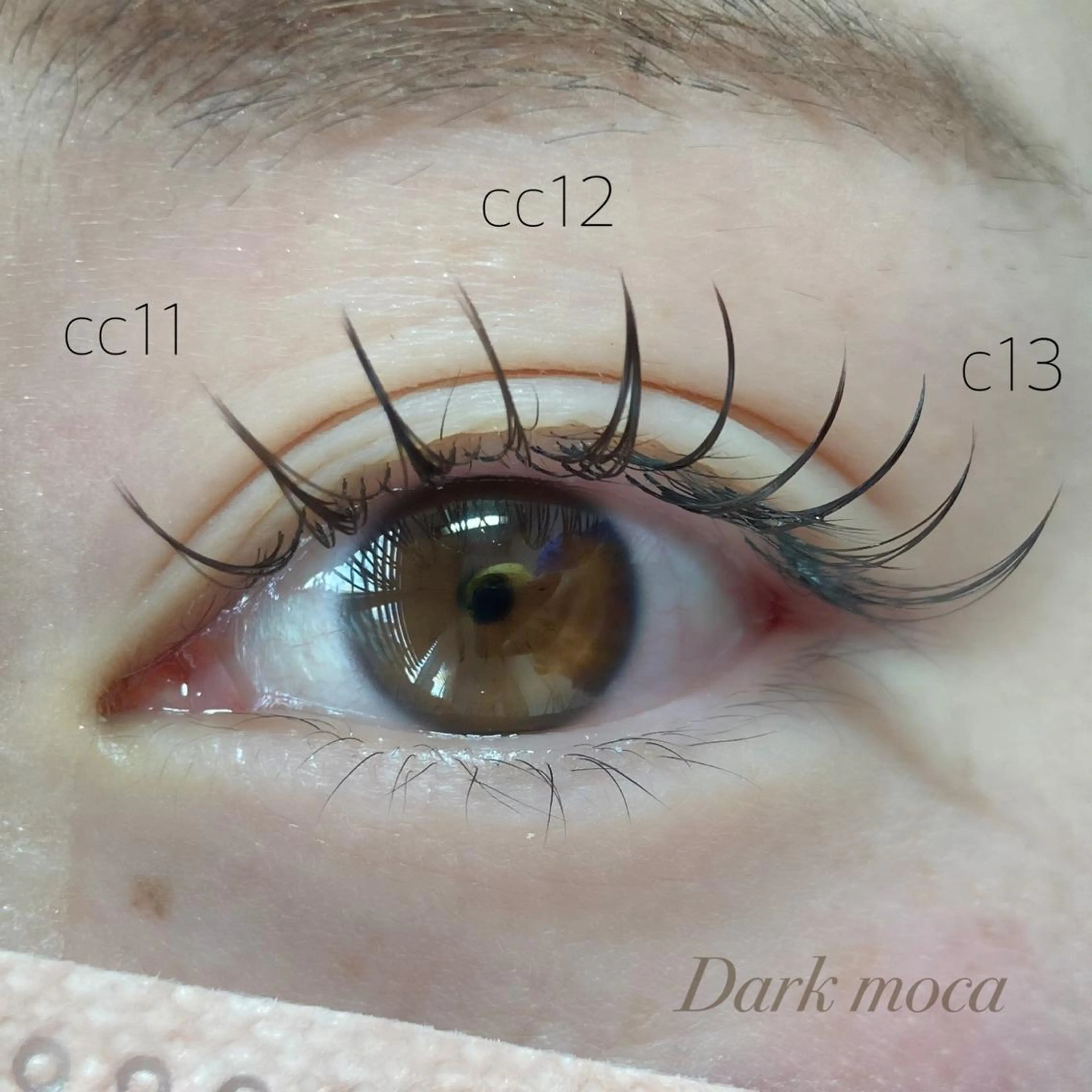 【30分スピードメニュー】付け足しフラット40本(遅刻厳禁)の写真