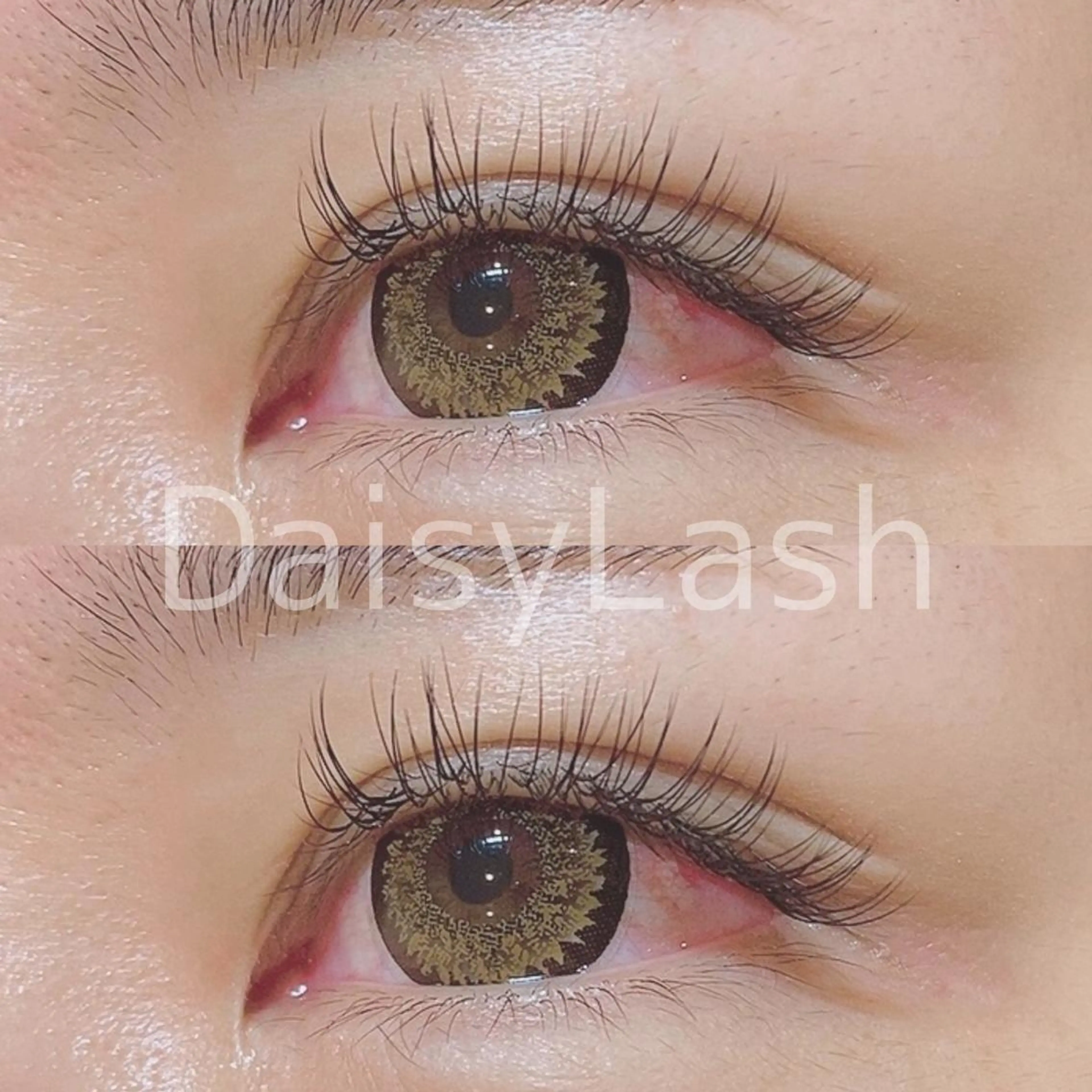 マツエク・マツパ DaisyLash 京橋店のマツエク・マツパデザイン