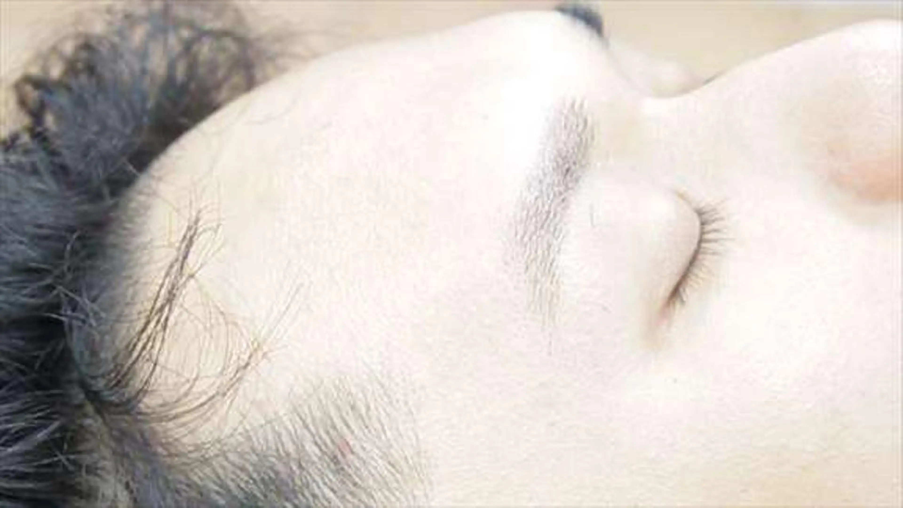 眉カットの写真