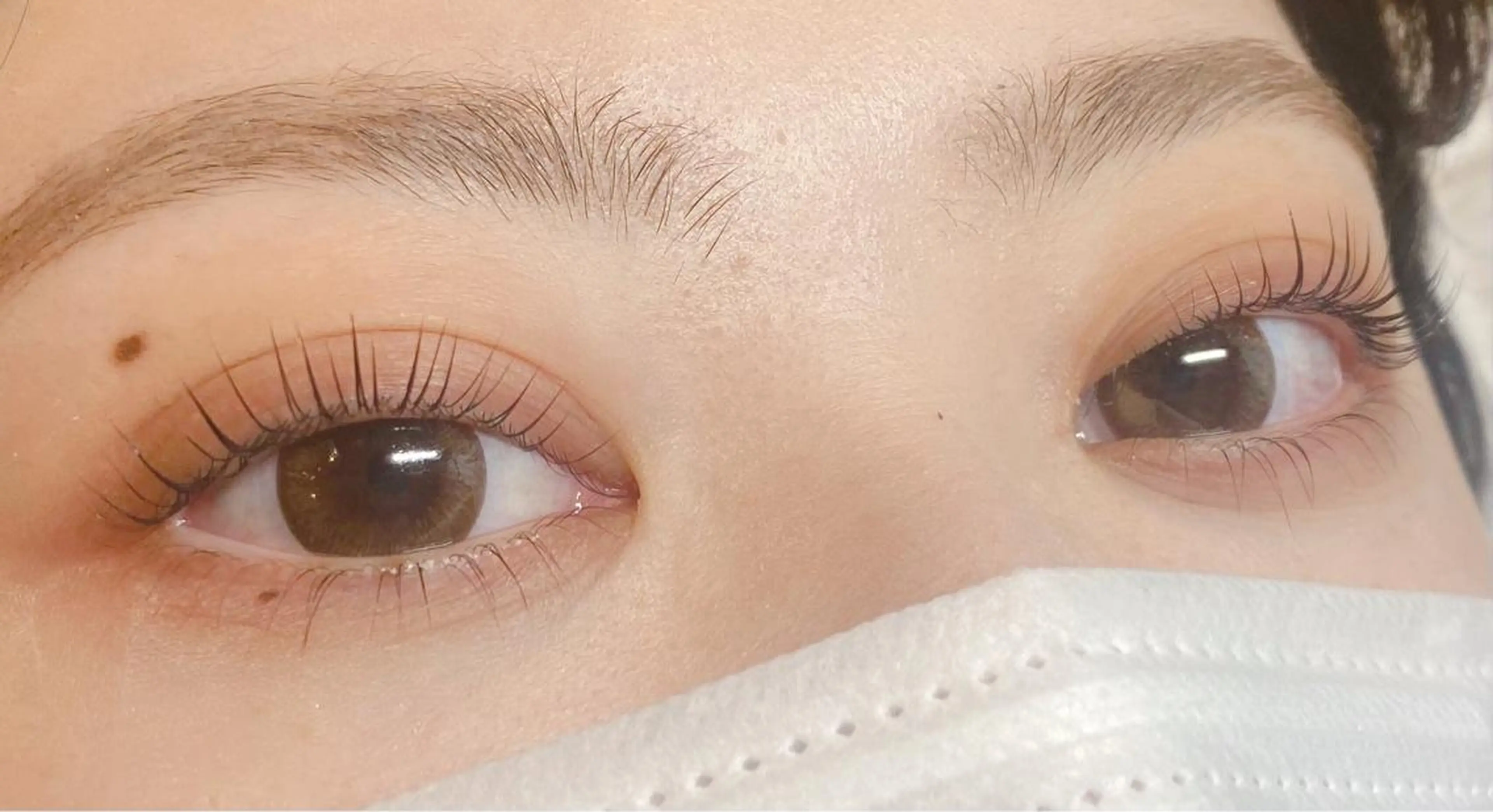 上下まつげパーマの写真