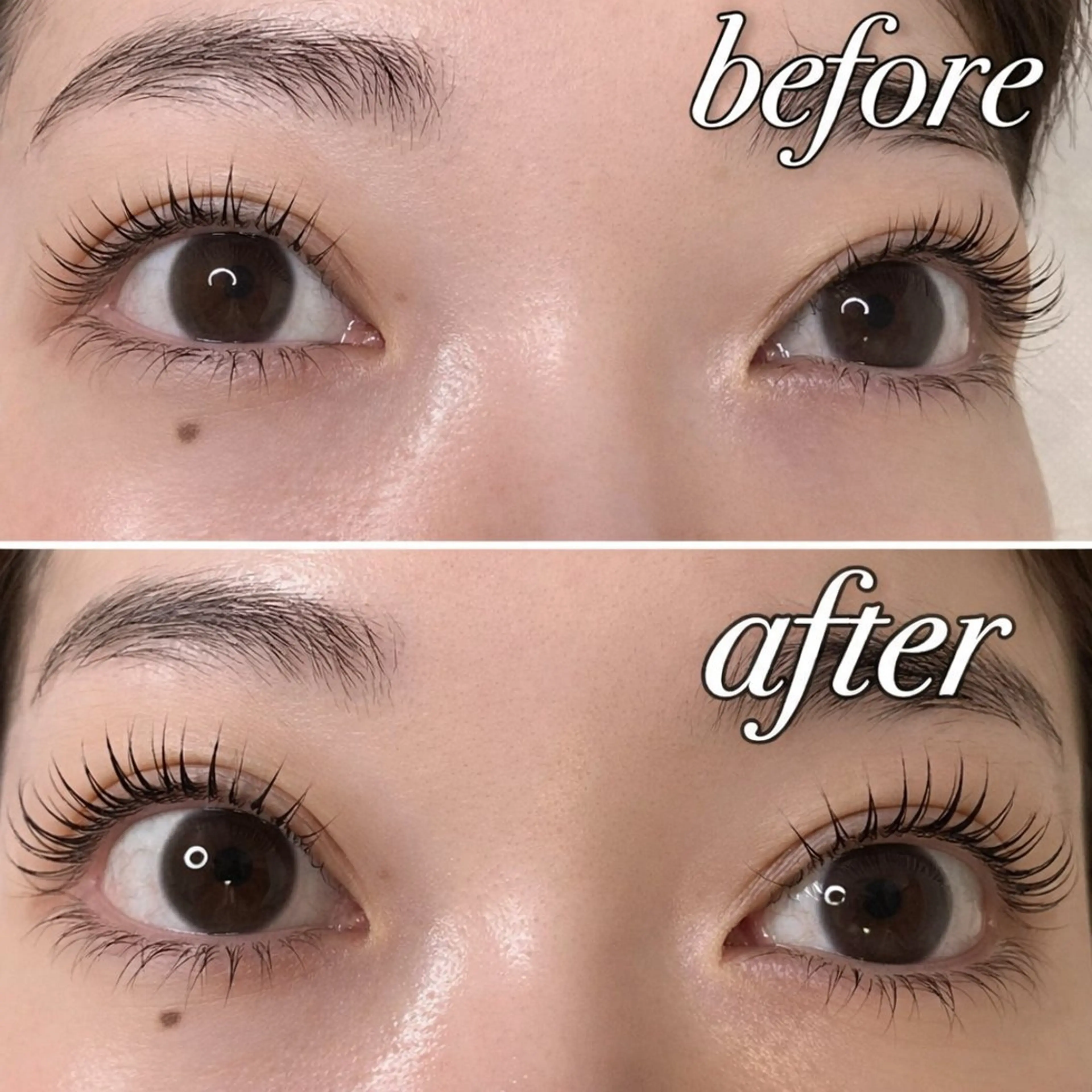 ✨ New❣️マスカラパーマ × ブラックティント(TR付き)の写真