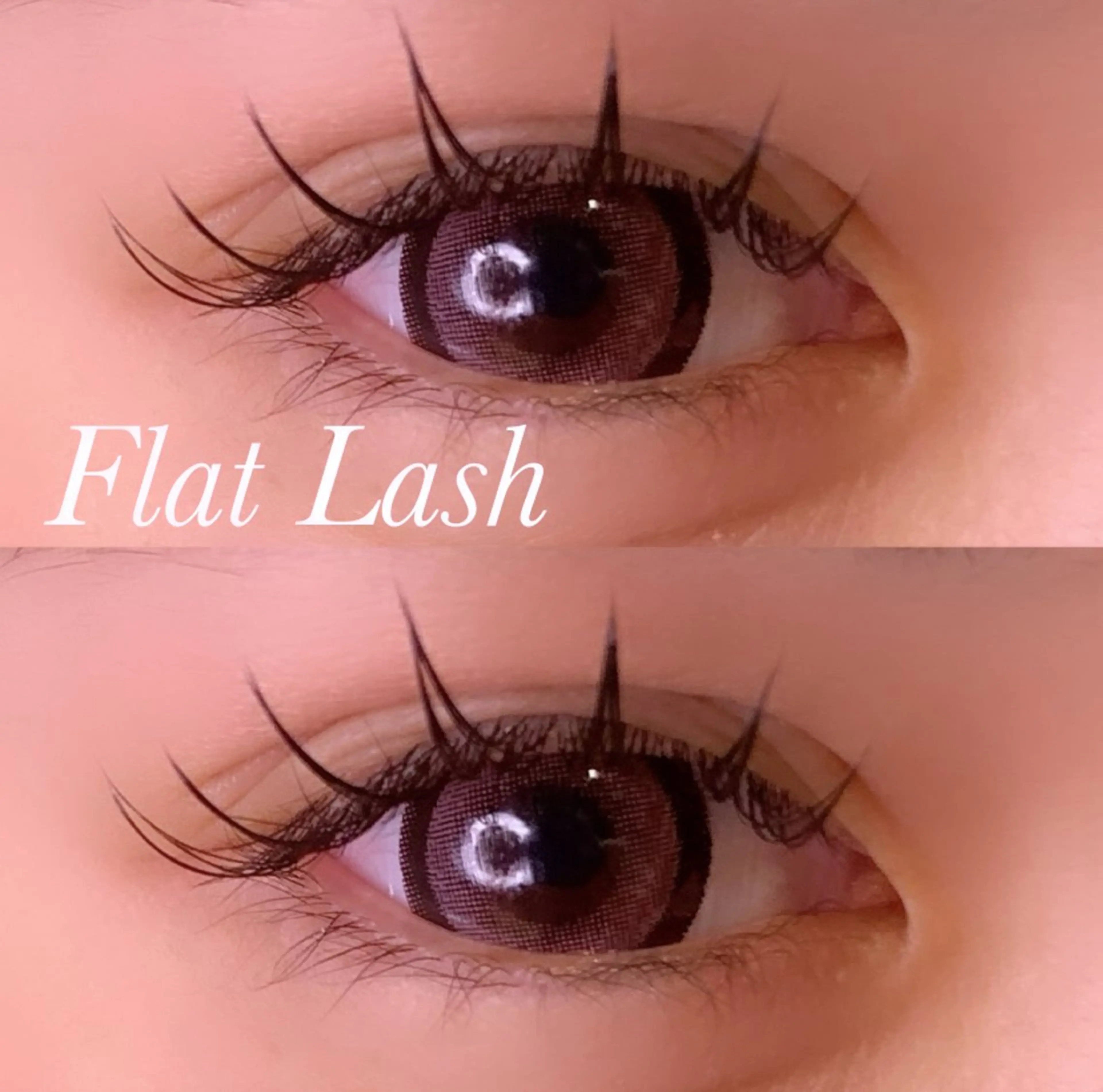 フラットラッシュ‎🤍120本【オフ無料】【 初回​〜​3回目まで 】の写真