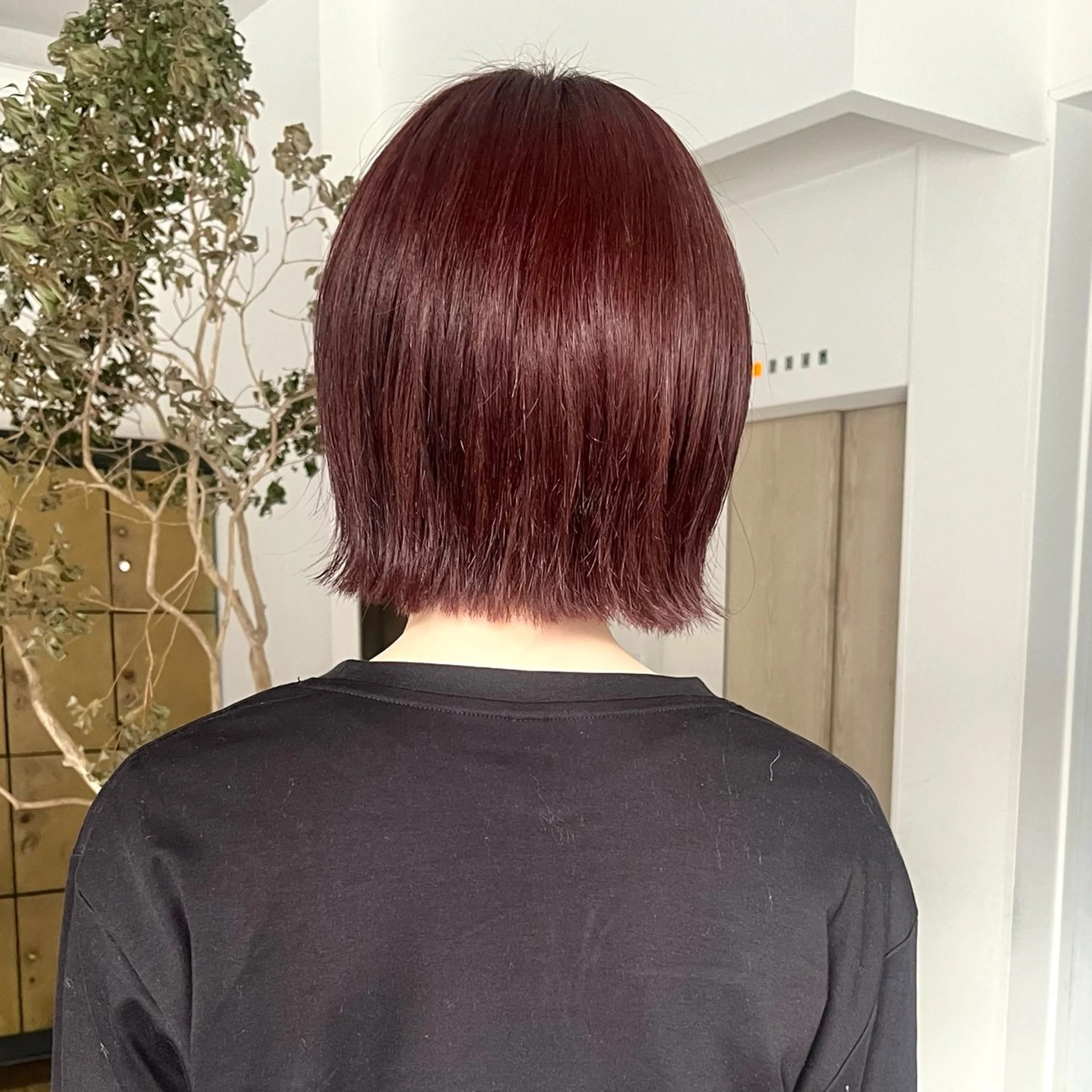 ミディアム カット ヘアカラー asuka/暖色 /レイヤー/ボブのヘアスタイル