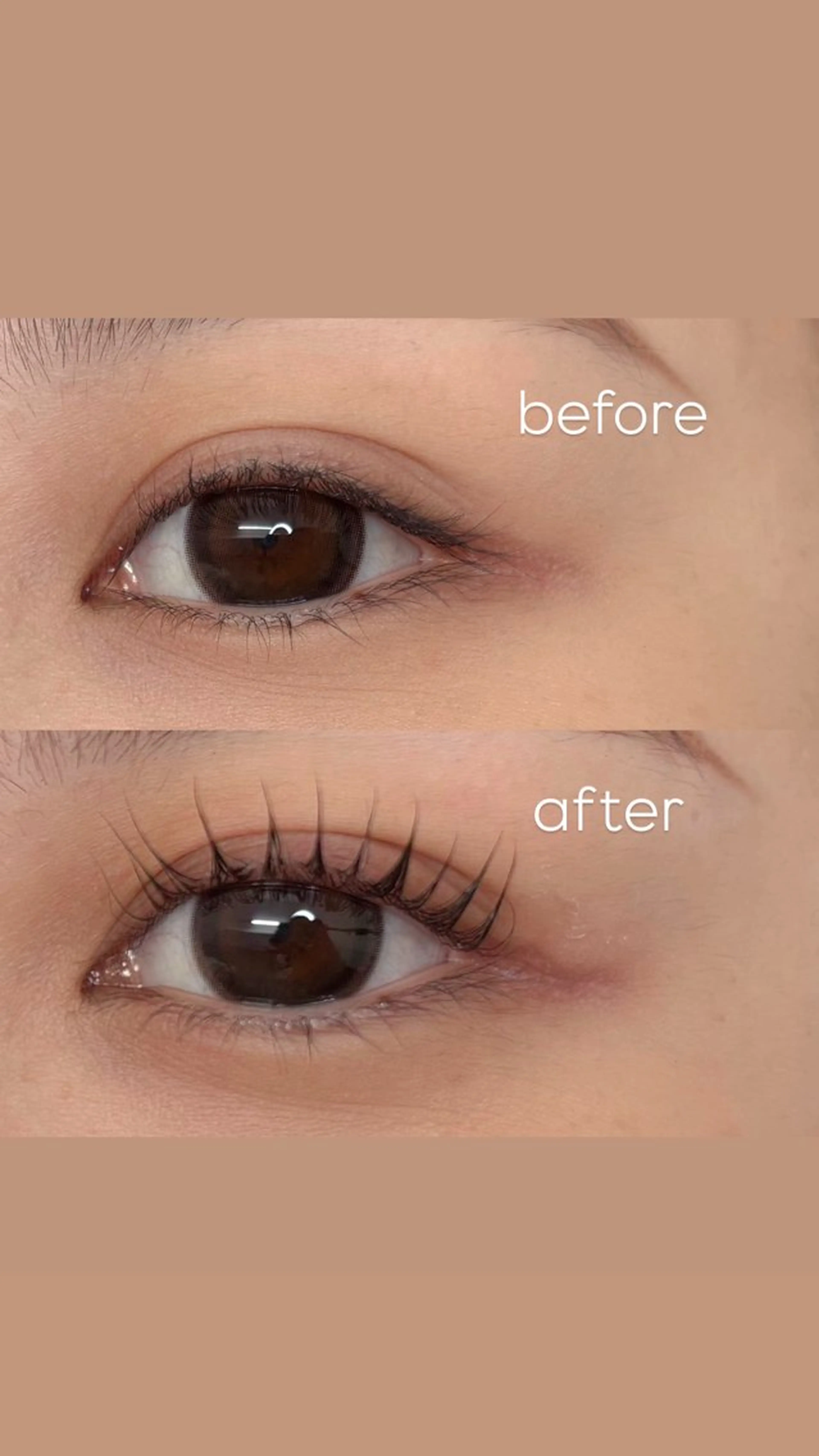 マツエク・マツパ 一重×まつ毛パーマ Noel【ノエル】 ユウナのマツエク・マツパデザイン